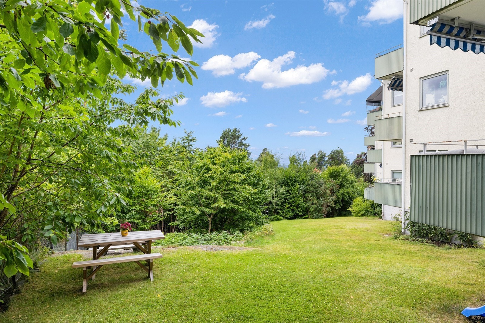 Fellesareal sommerbilde. Galleribilde