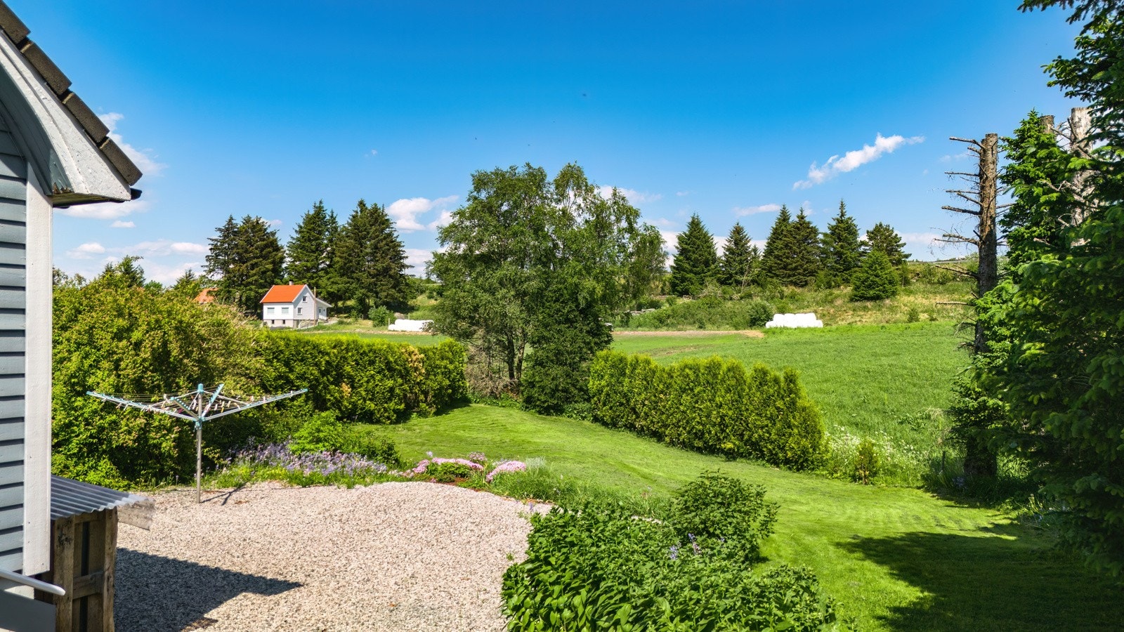 Nydelig hage på baksiden av huset Galleribilde