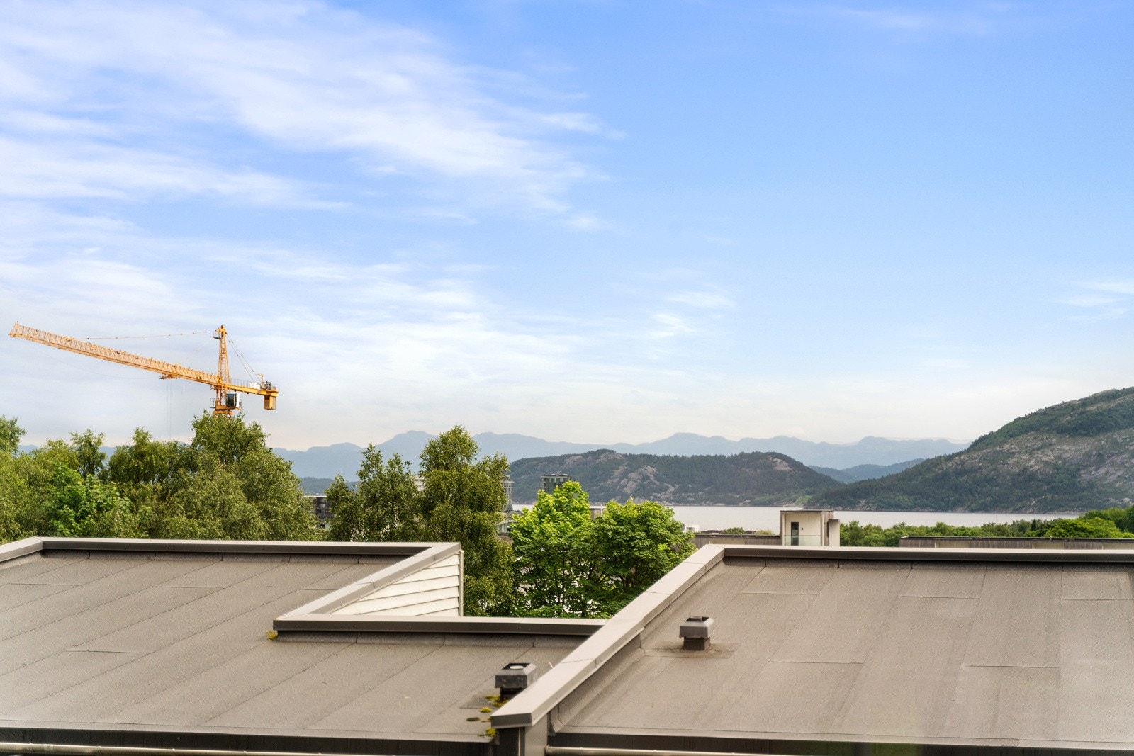 Sjekk utsikten! Galleribilde