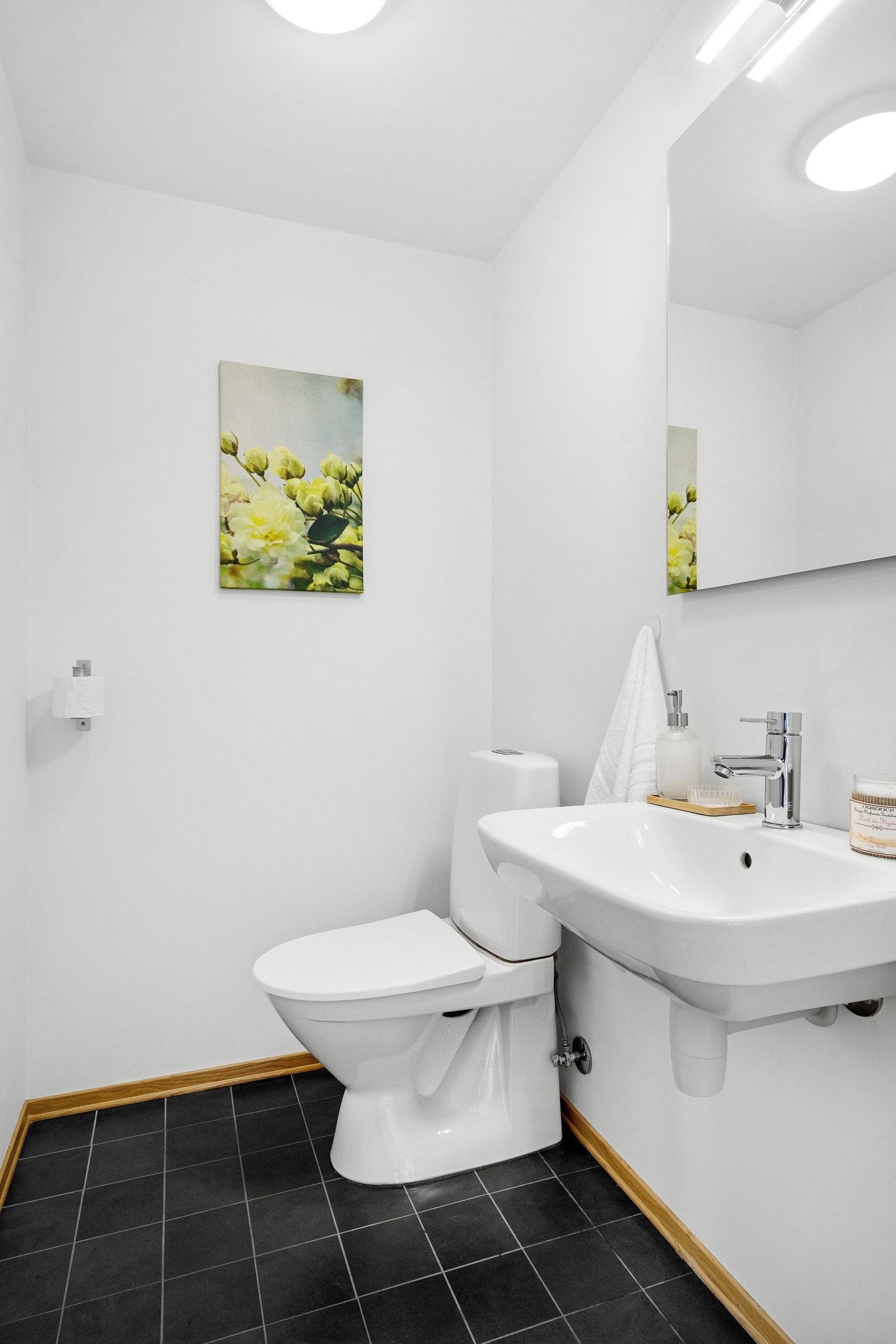 Praktisk wc rom. Galleribilde