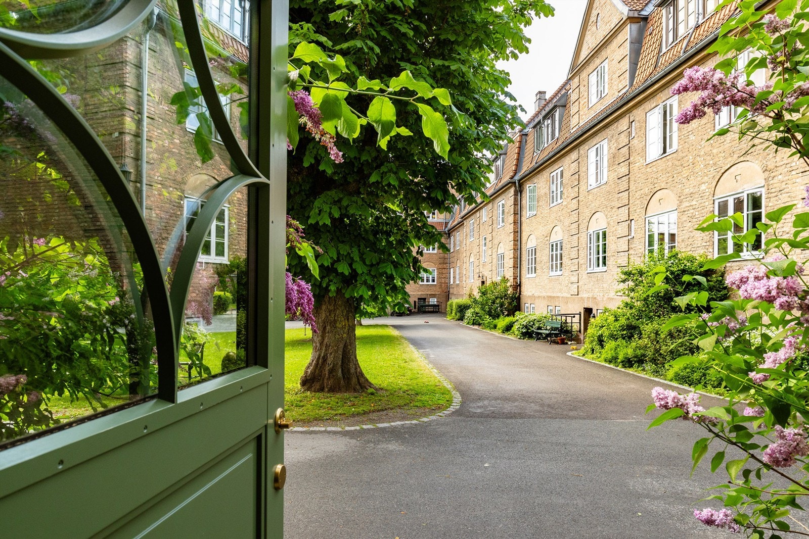 Frodig og usjenert bakgård. Galleribilde