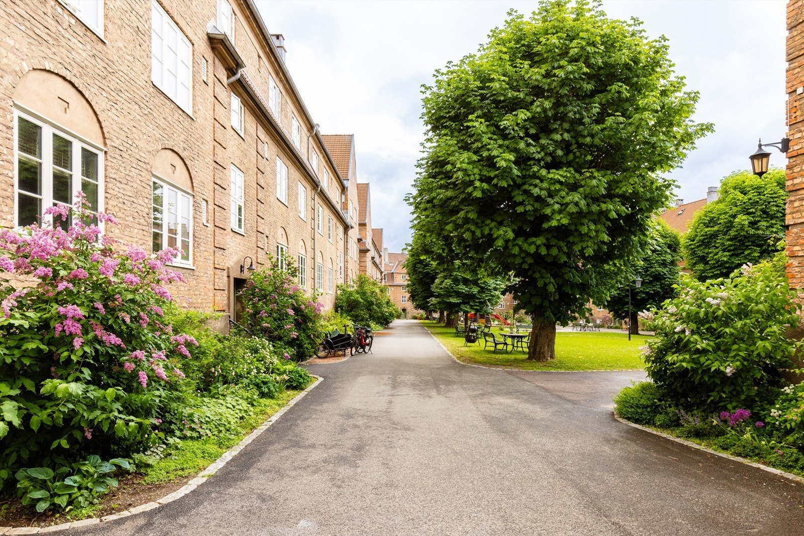 Grønne og frodige fellesarealer i bakgården. Galleribilde