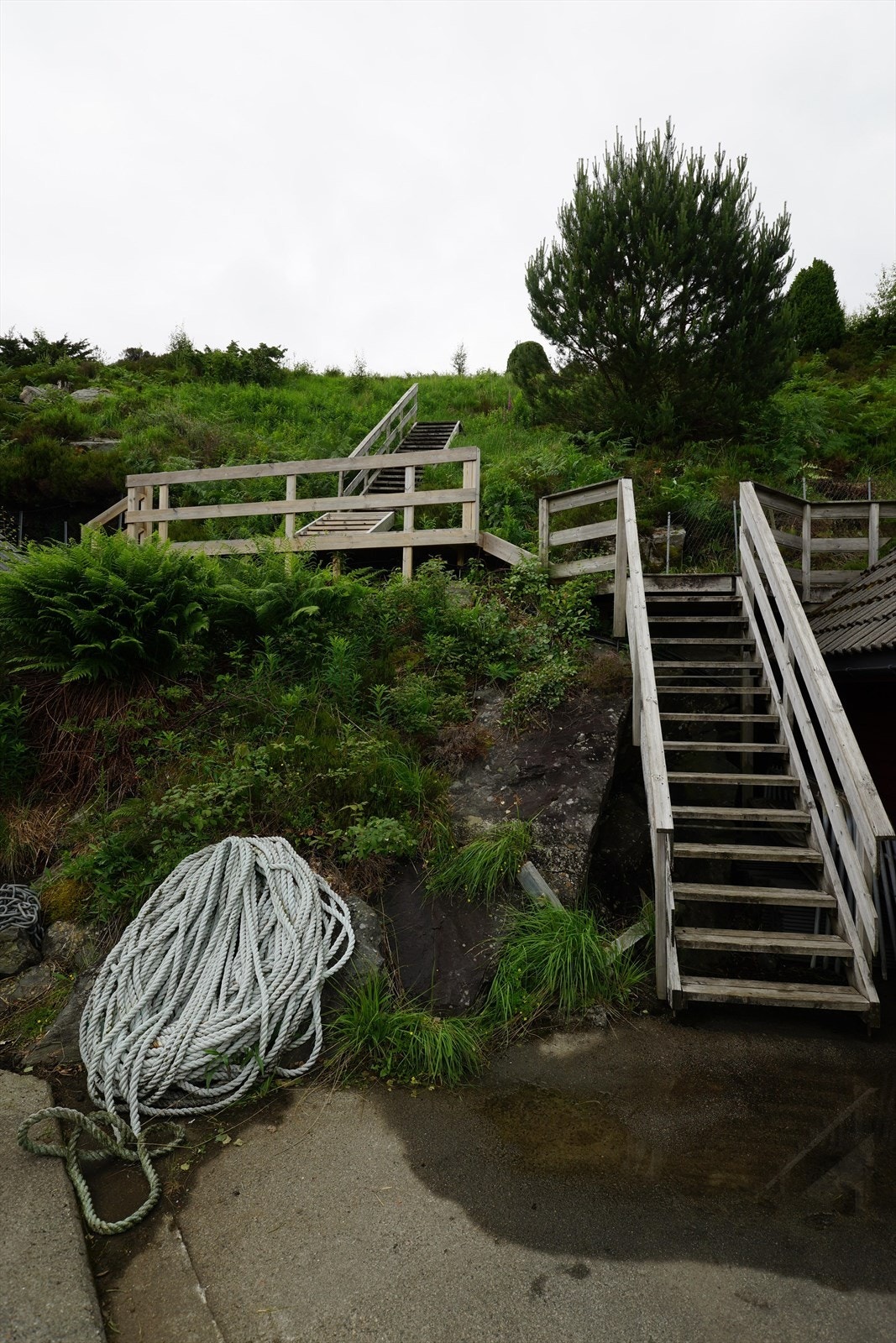 Trapp adkomst Galleribilde