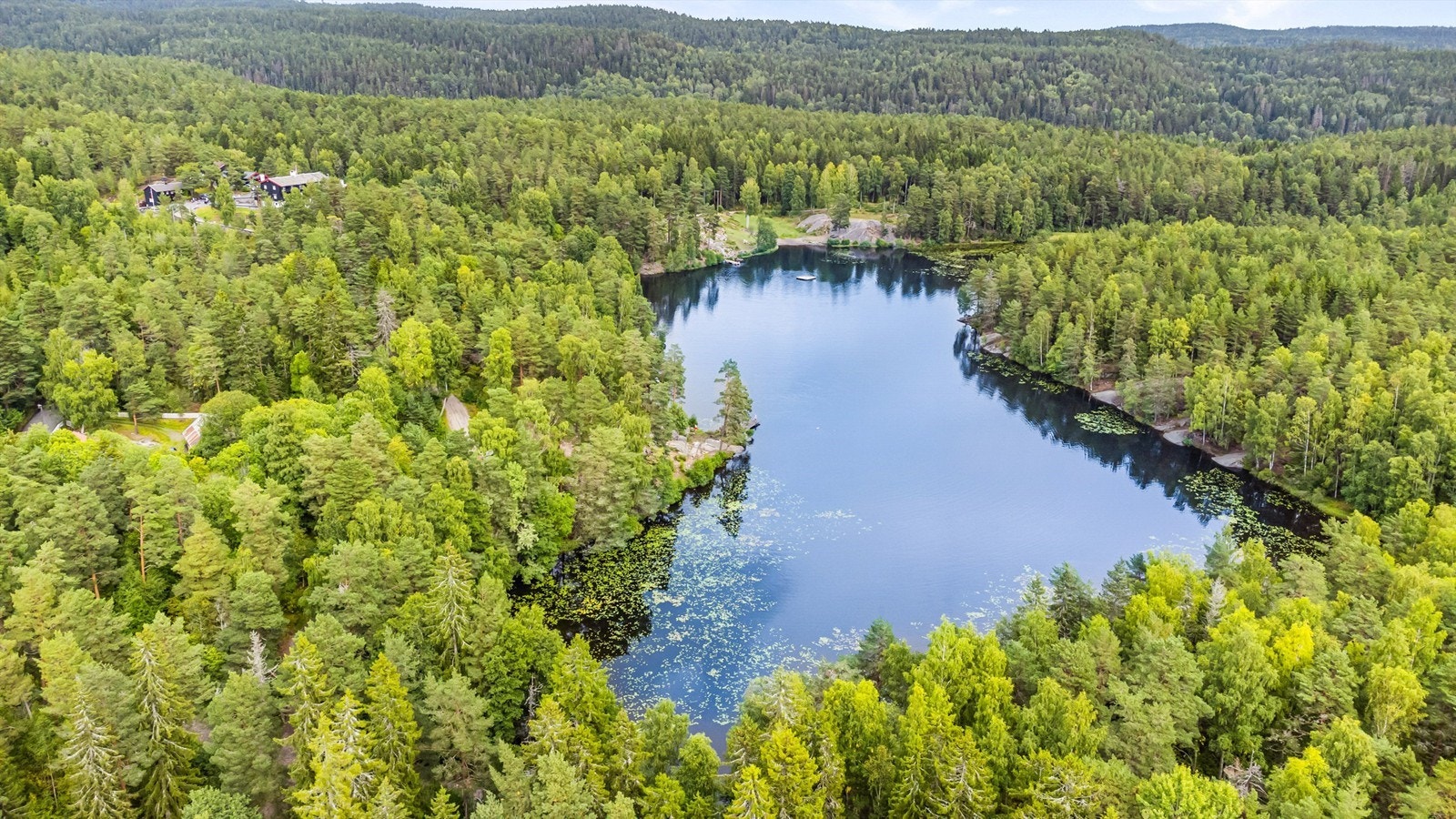 Ulsrudvann - ofte en av Oslos varmeste badetemperaturer på sommeren. Galleribilde