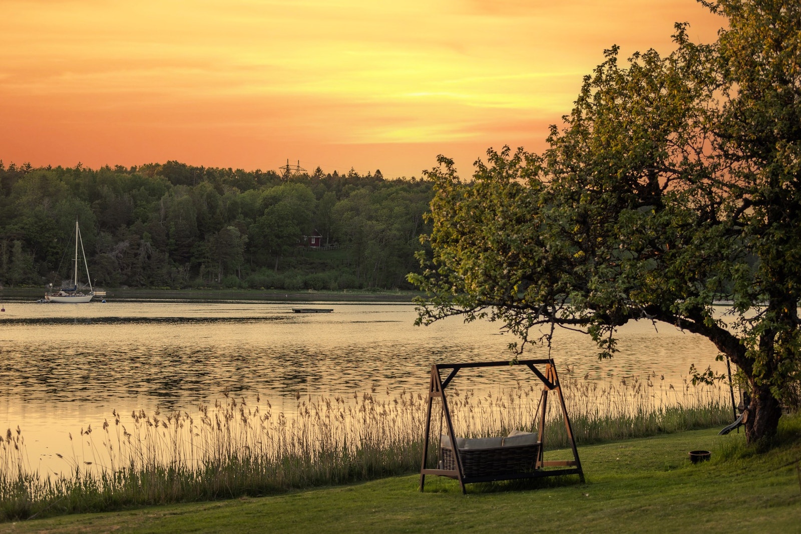 Strandlinje med diverse beplantning. Galleribilde