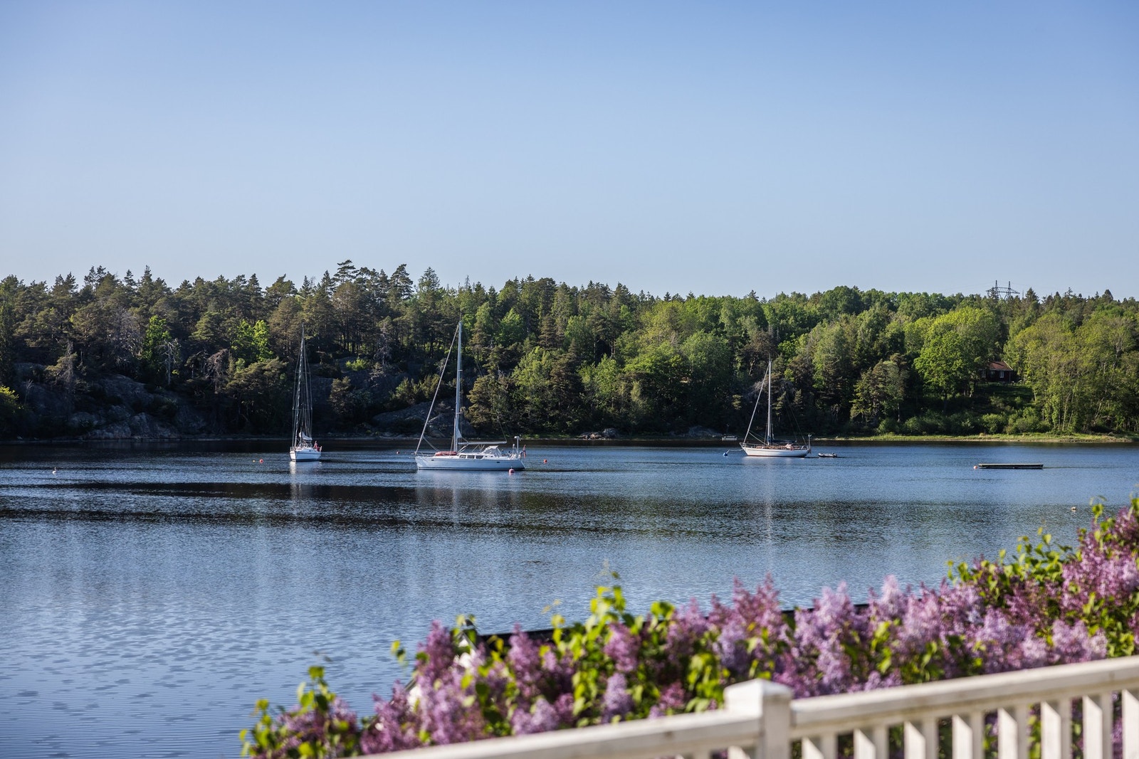 Fritt utsyn over fjorden. Galleribilde