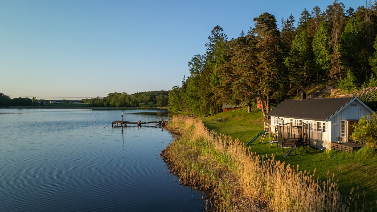 Vakker og frodig beplantning. Galleribilde