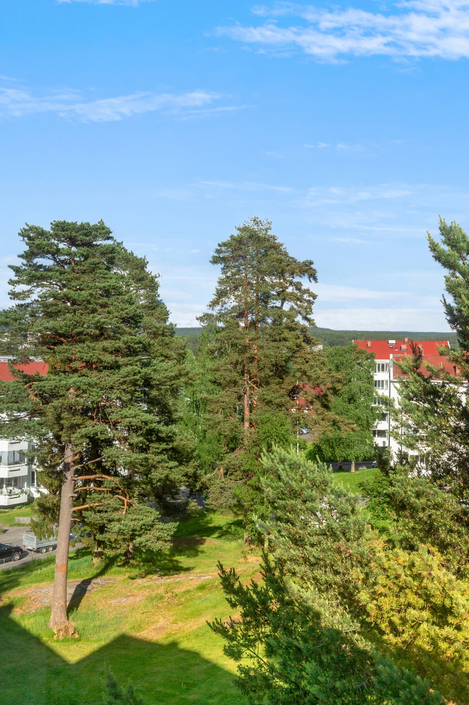 Koselig og frodig utsyn. Galleribilde