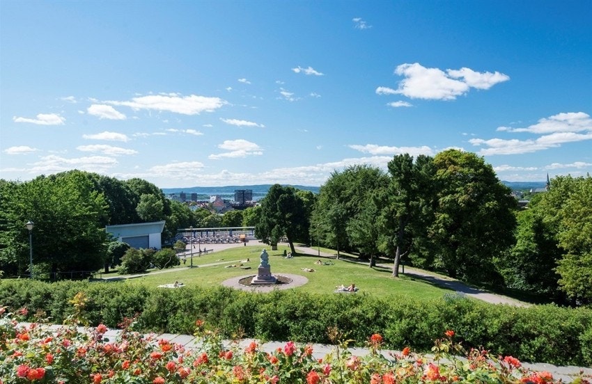 Nærområde - Parken på St. Hanshaugen. Galleribilde