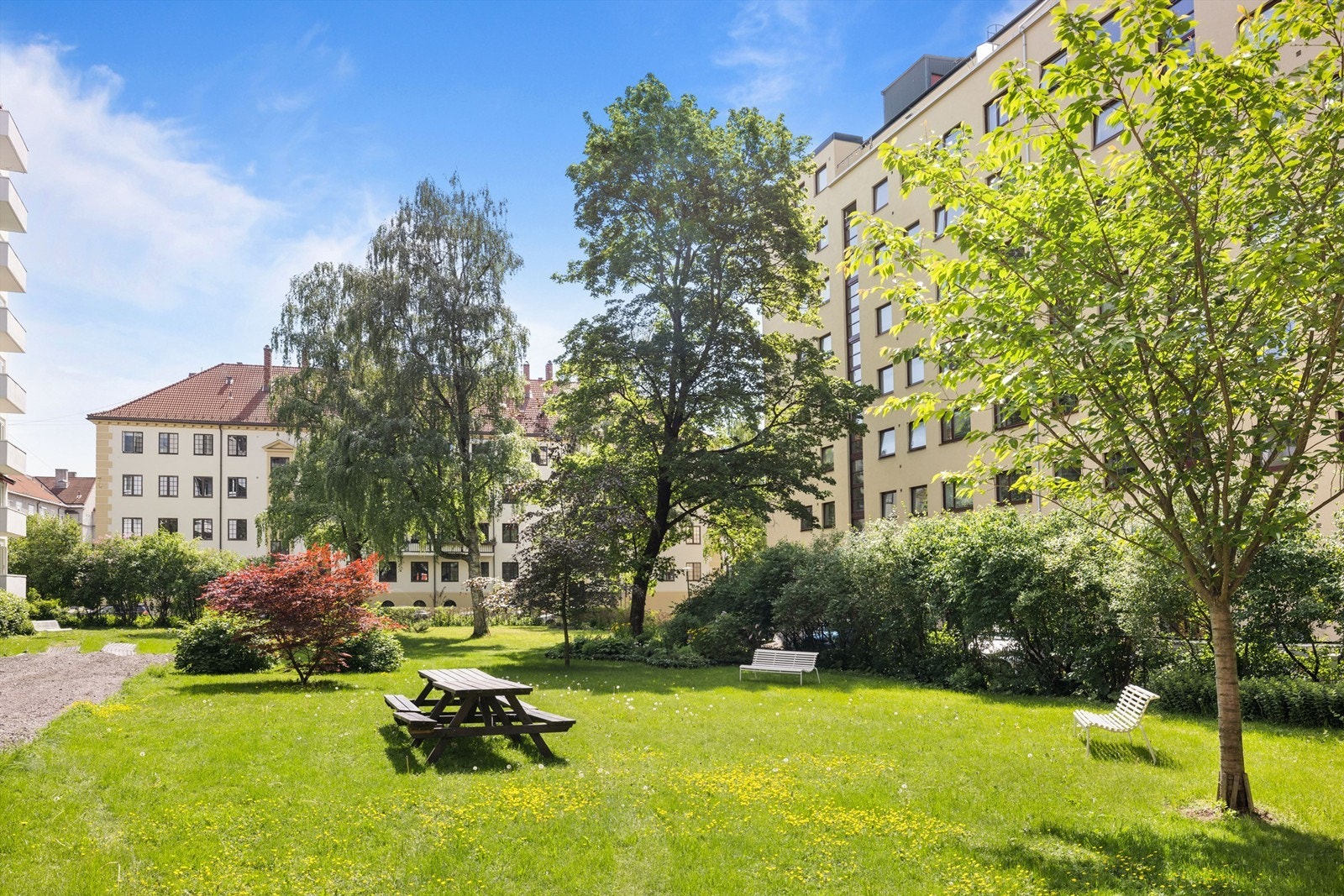 Sameiet har en grønn og frodig bakgård, en privat oase midt i byen. Galleribilde