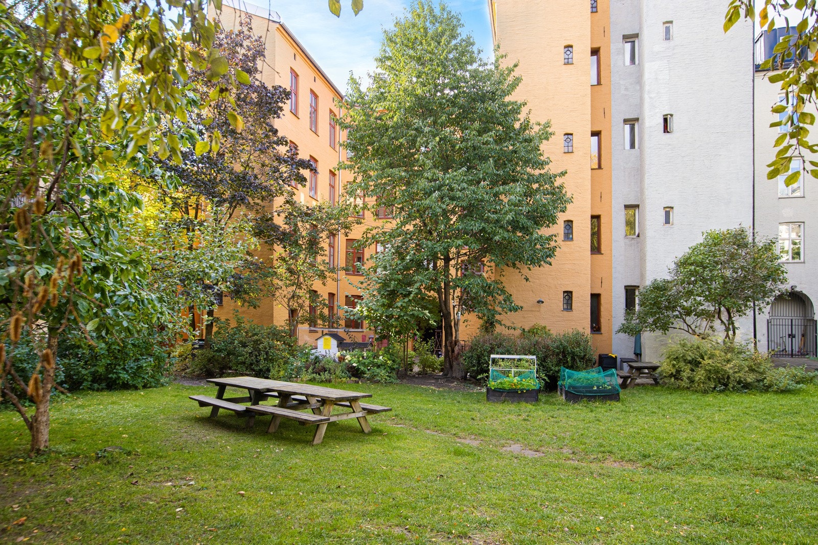 Stort åpent felles gårdsom. Galleribilde