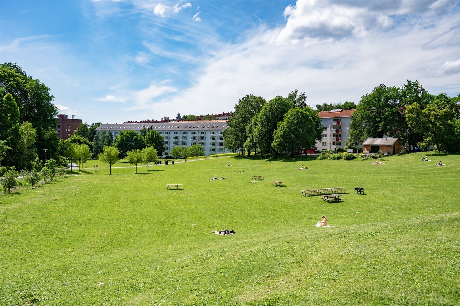 Rett utenfor leiligheten har du din egen grønne oase, Iladalen park, en stor, flott park, tilbaketrukket fra all biltrafikk. I tillegg er det flere flotte turmuligheter langs Akerselva. Galleribilde