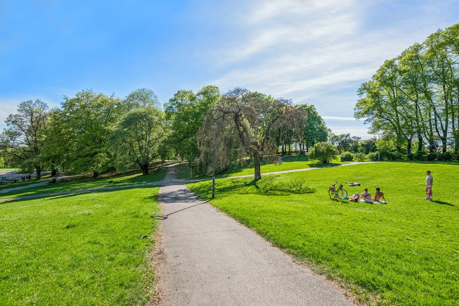 Bjølsenparken. Galleribilde