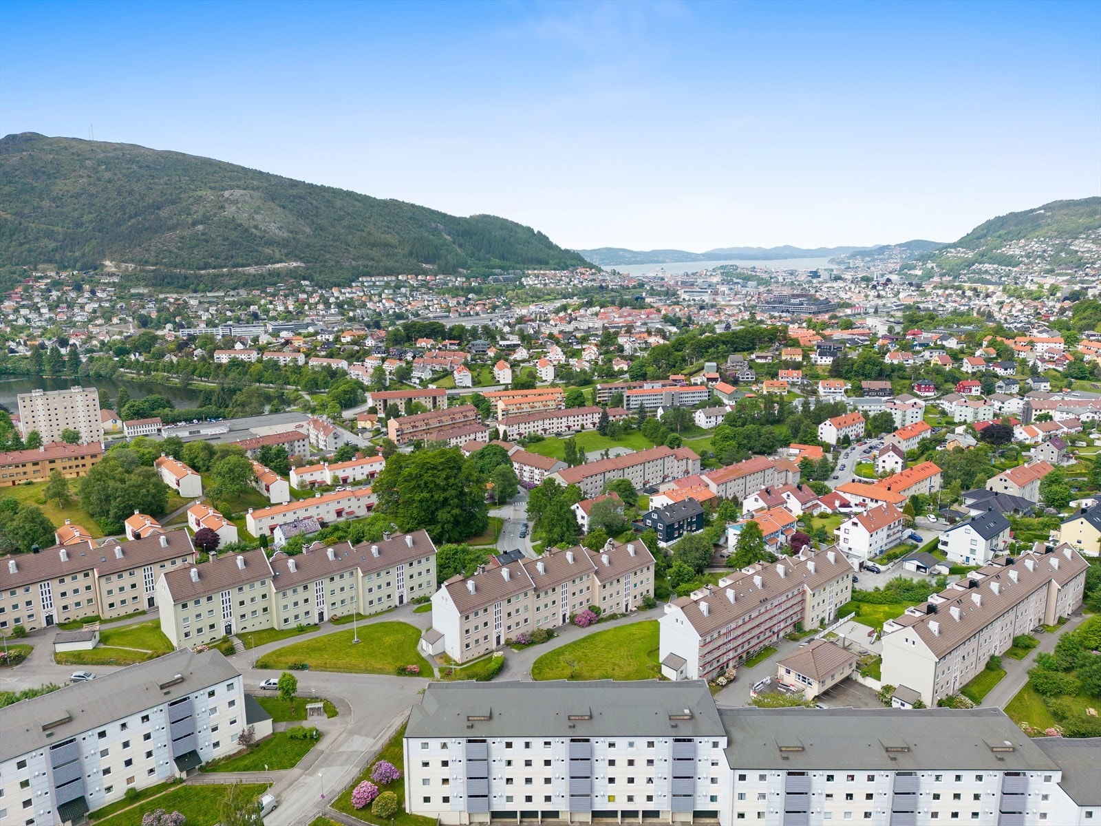 Velkommen til visning! Galleribilde