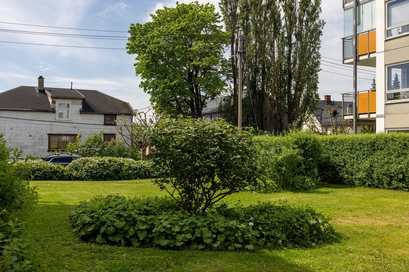 Det er et sted for alle - unge og gamle, familier og enslige. Galleribilde