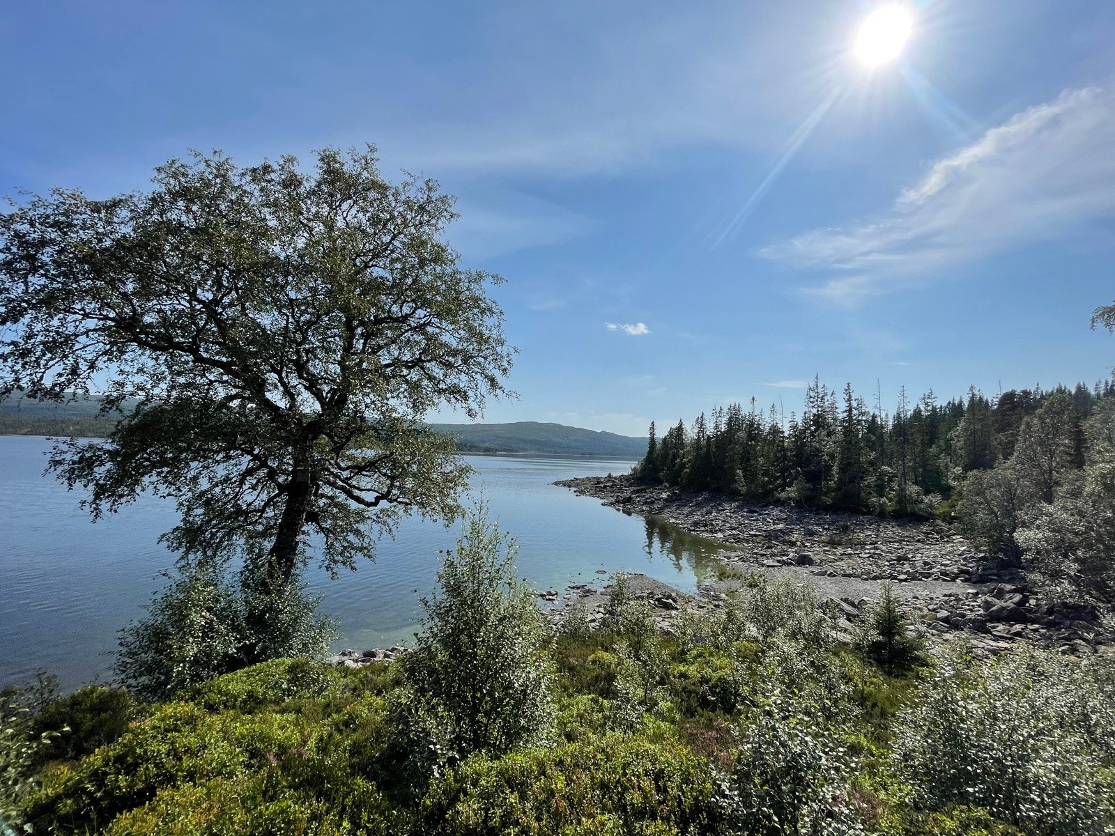 Utebilde Galleribilde