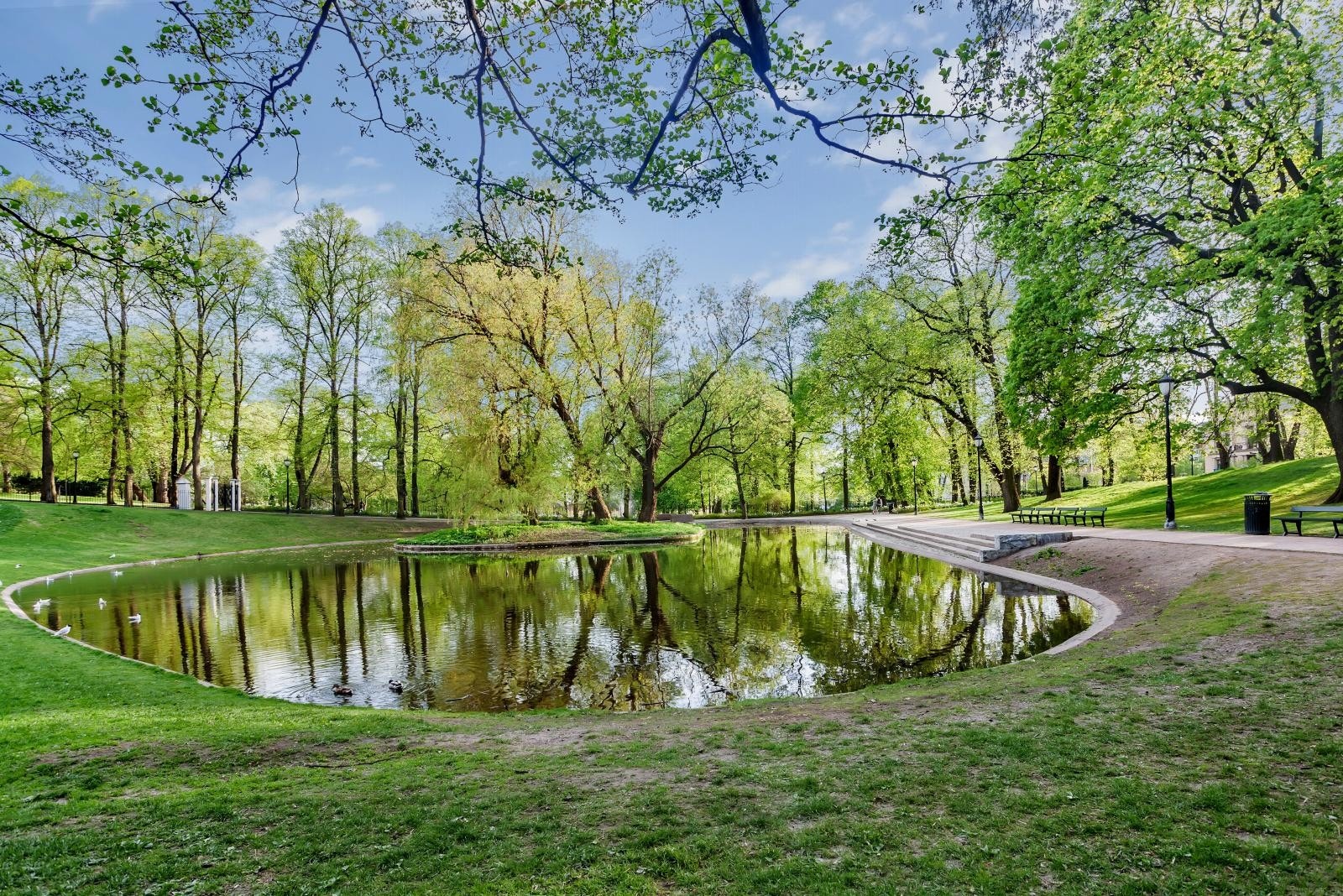Slottsparken og Karl Johans- gate er kun ca. 7 minutters gange fra leiligheten Galleribilde