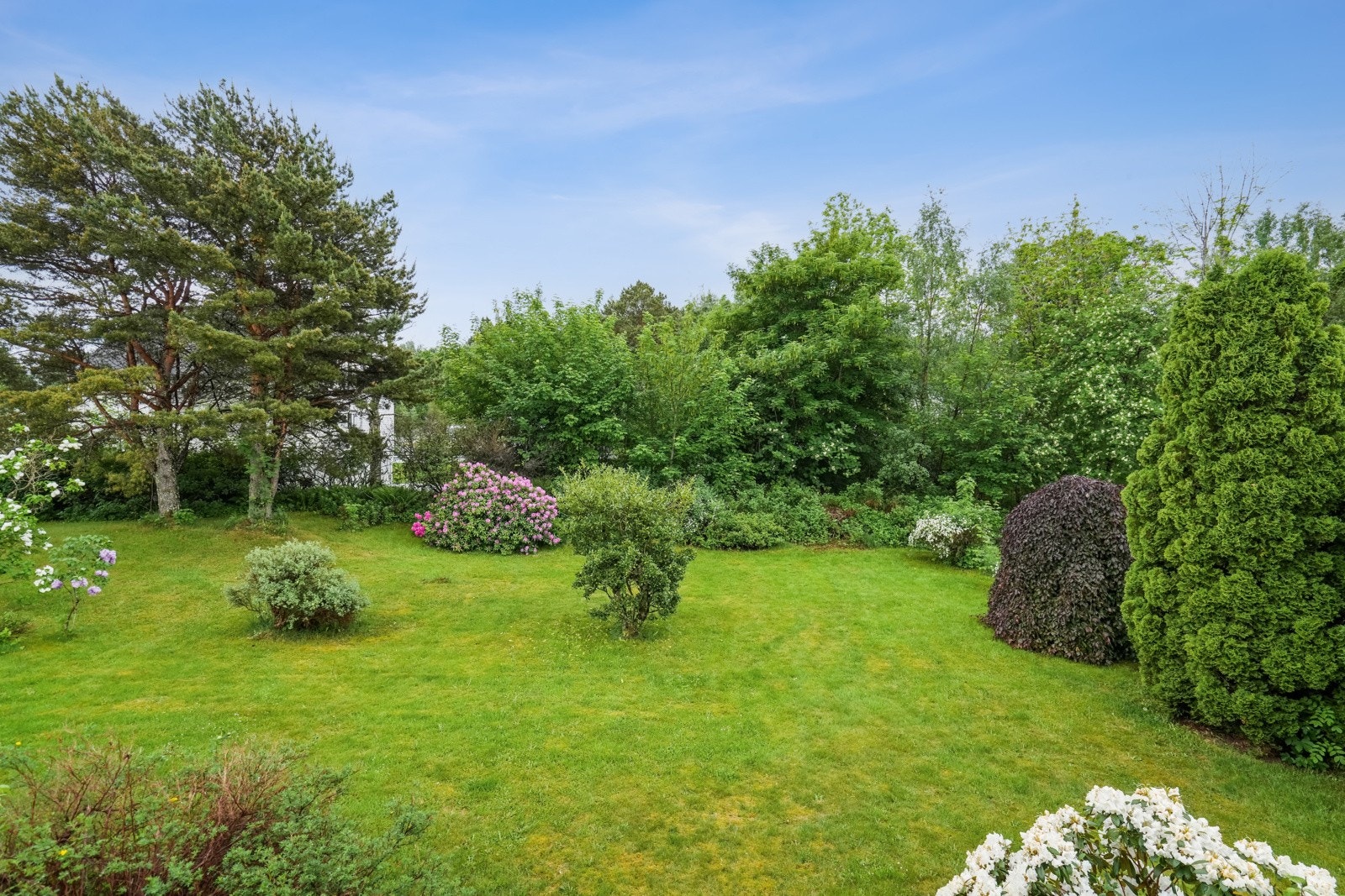 Pent sydvendt uteområde med blant annet planert hage, trær og flotte prydbusker. Galleribilde