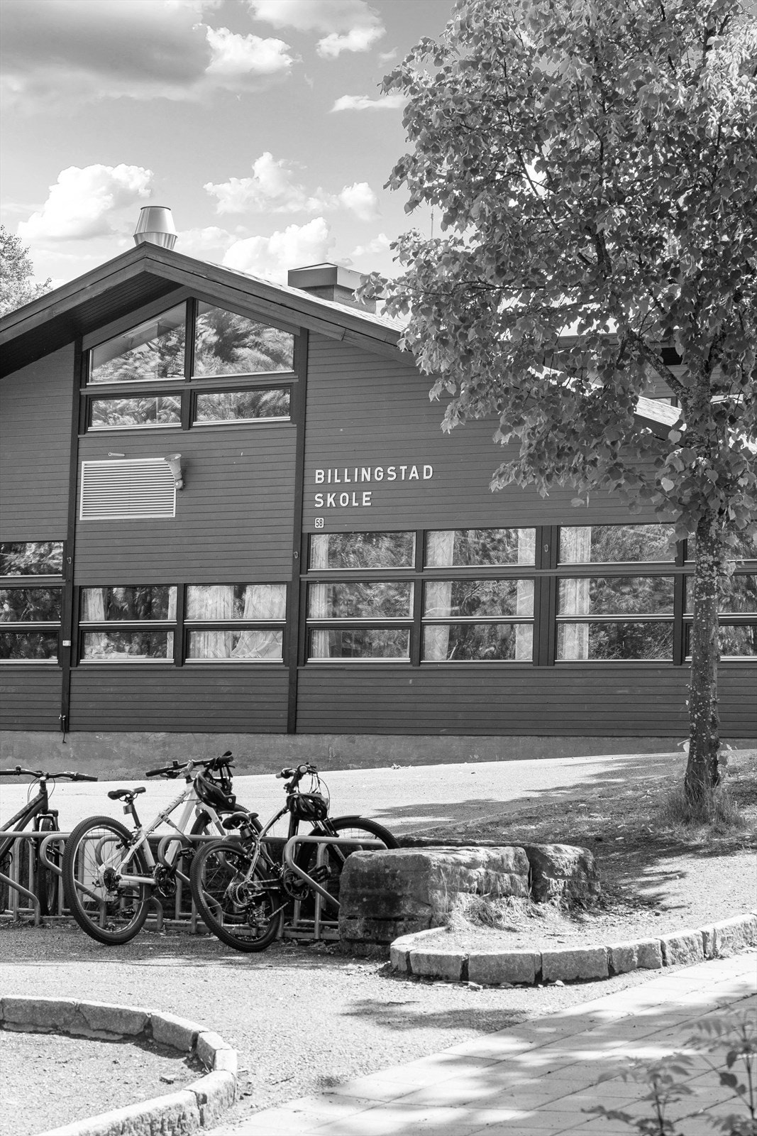 Nærområdet. Galleribilde