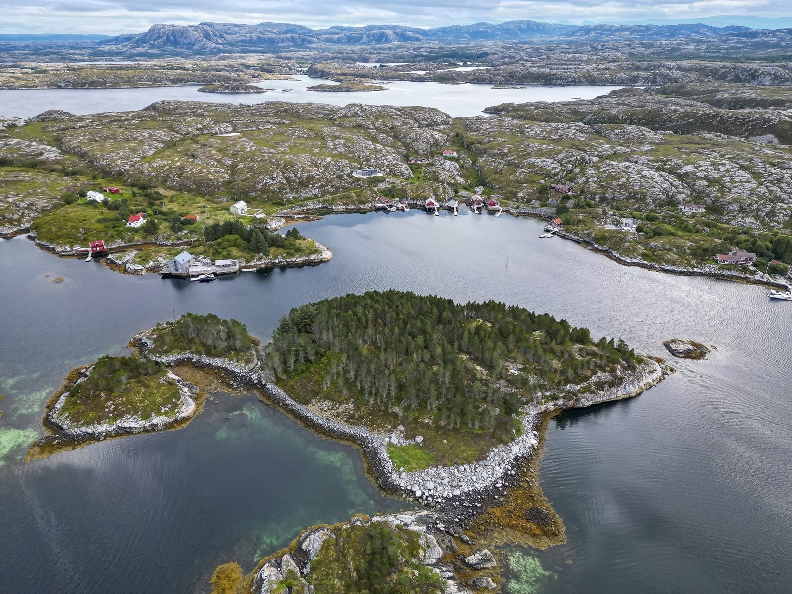 Velkommen til visning! Galleribilde