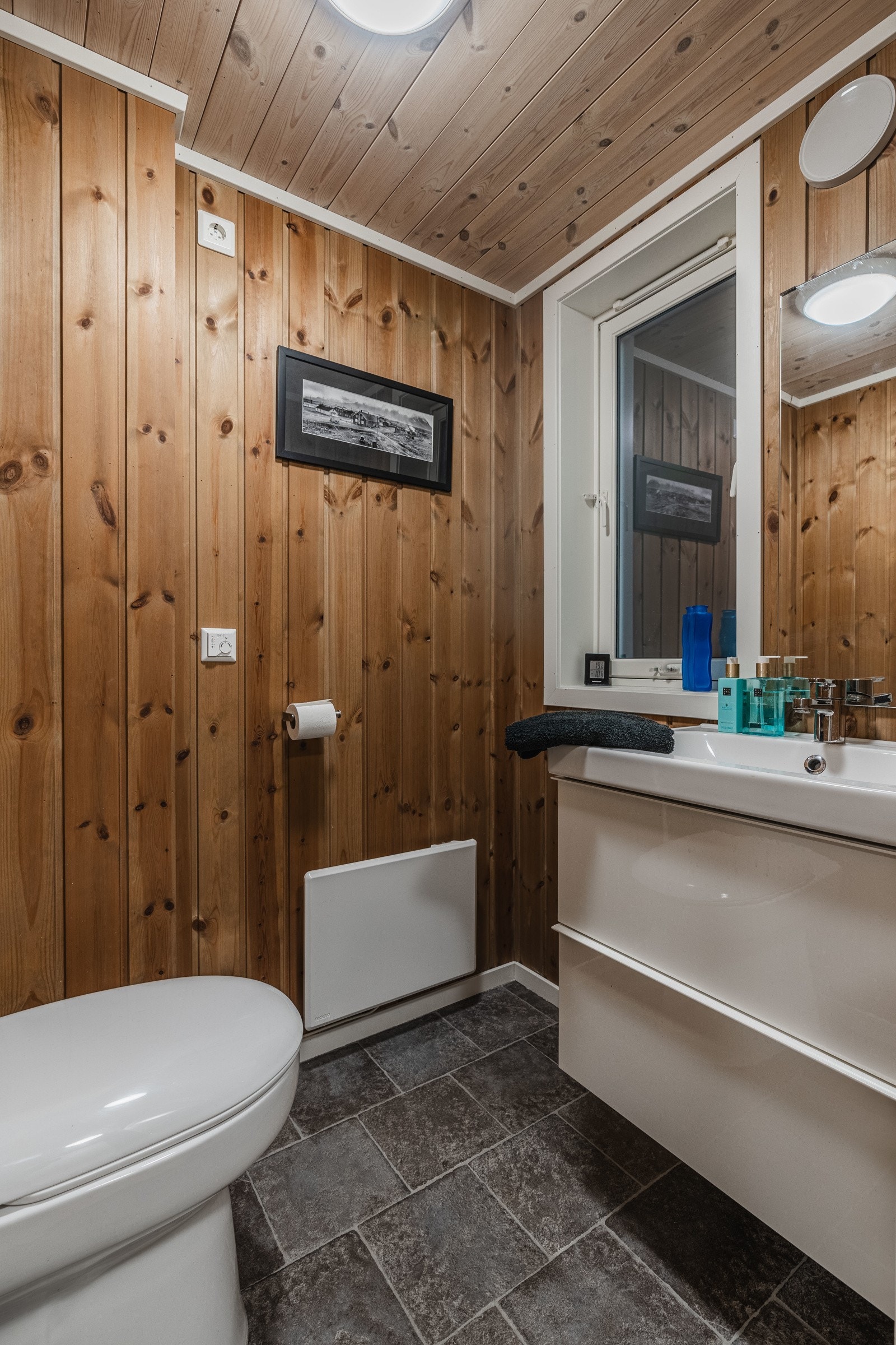 Fra gangen har du også tilgang til dette praktiske toalettrommet Galleribilde