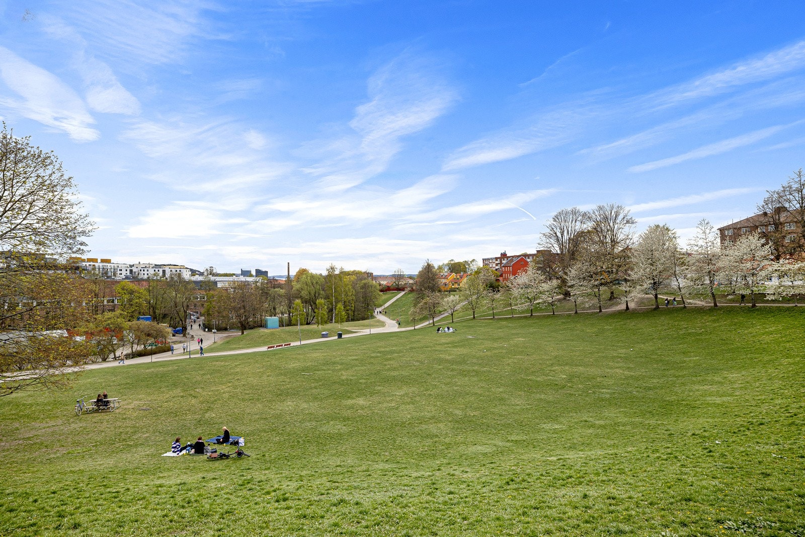Myraløkka byr flotte grønne omgivelser - Perfekt sted for nyte late sommerdager Galleribilde