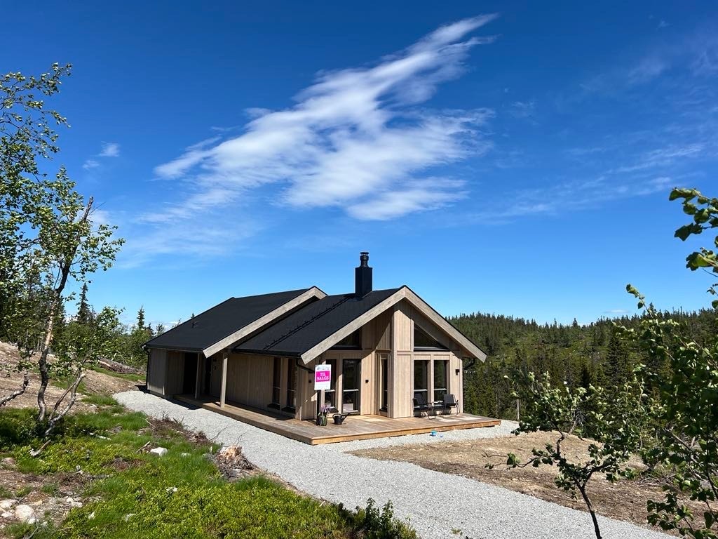 Blåne hytte Galleribilde