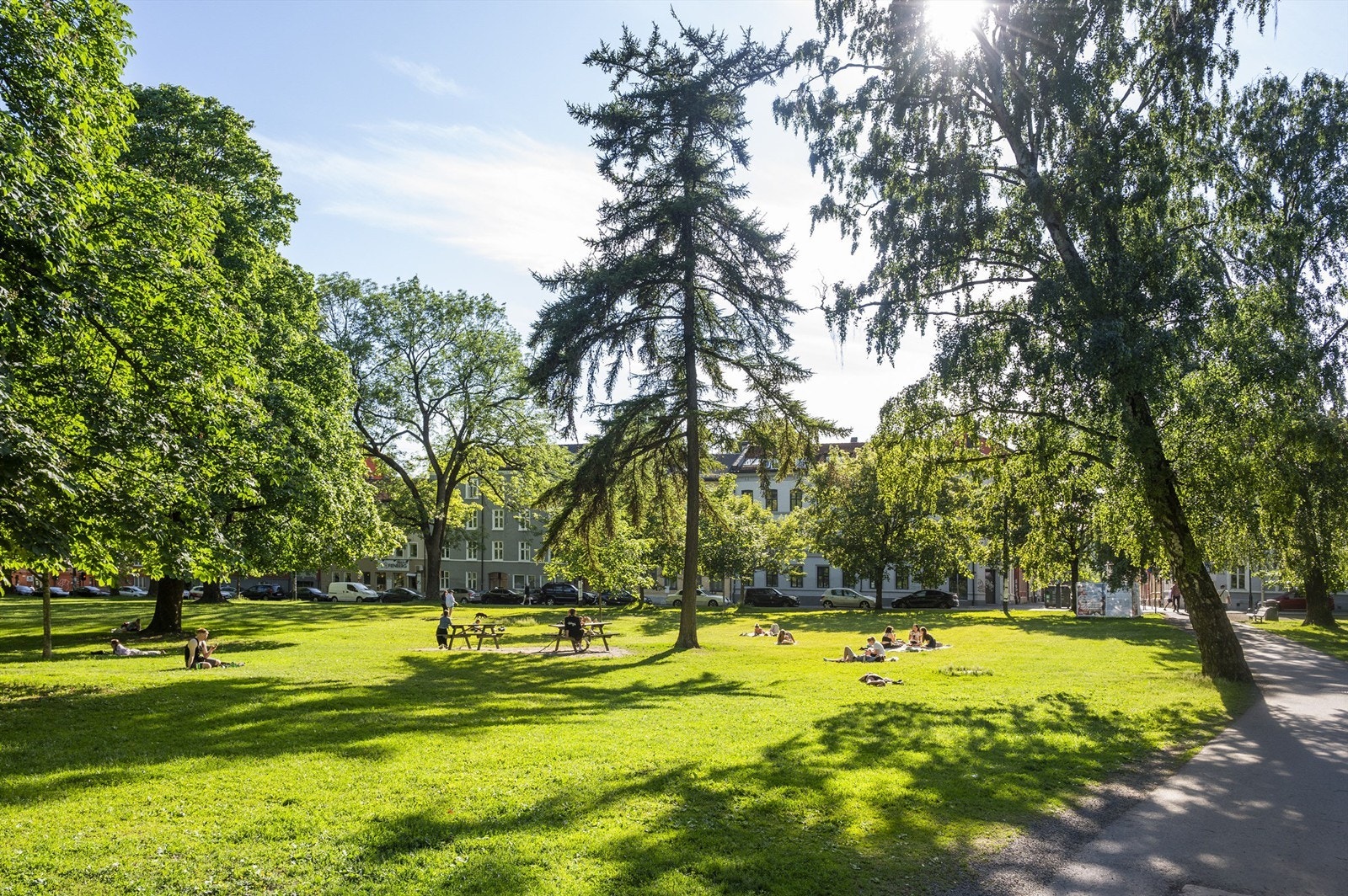 Idylliske Birkelunden og Olaf Ryes plass, samt flotte grøntområder som Sofienbergparken og Akerselva med turstier fra Bjørvika til Maridalen, er blant utvalget innen tur og rekreasjon. Her fra Sofienbergparken. Galleribilde