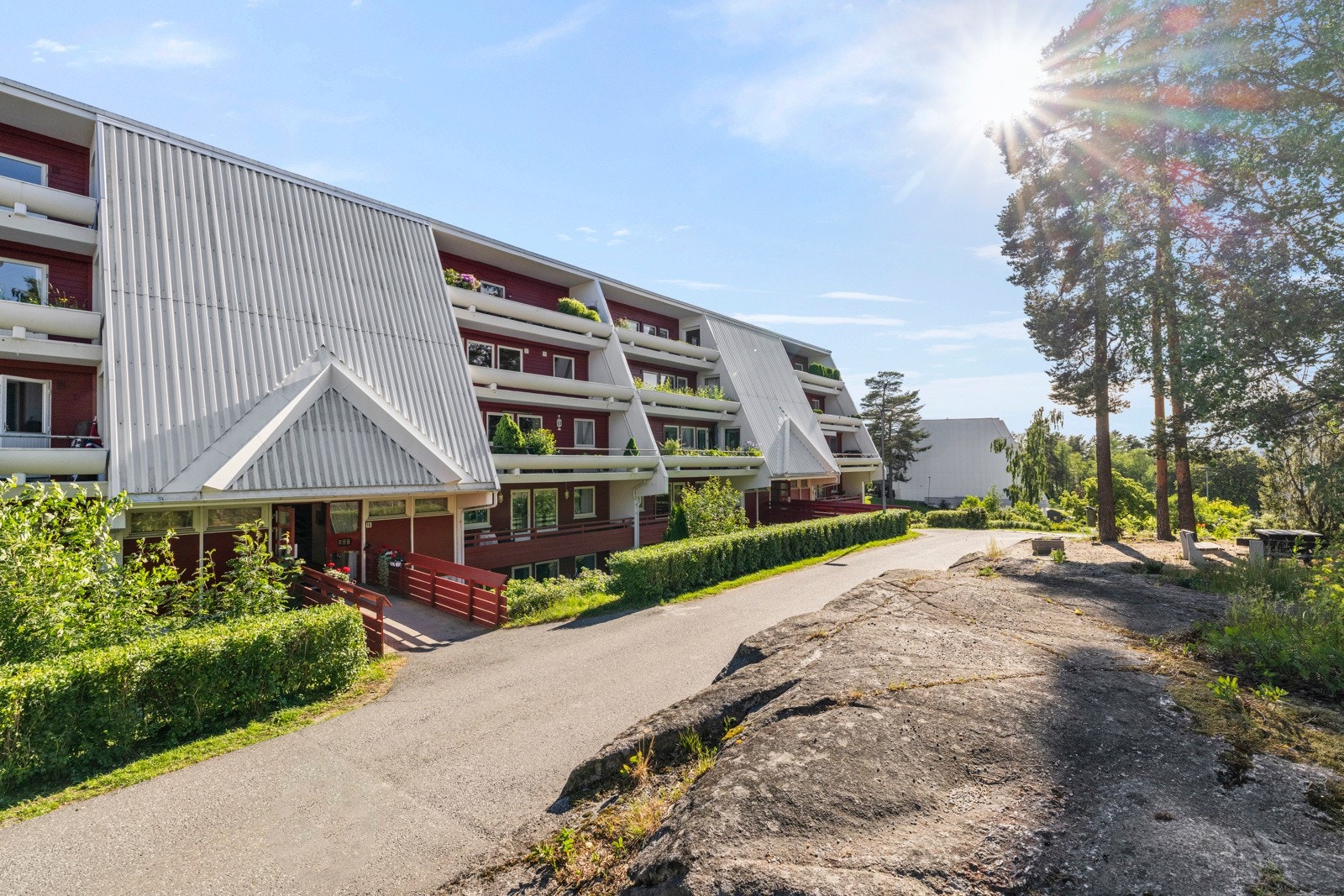 Vevelstadåsen er et godt bomiljø for både gamle og unge Galleribilde