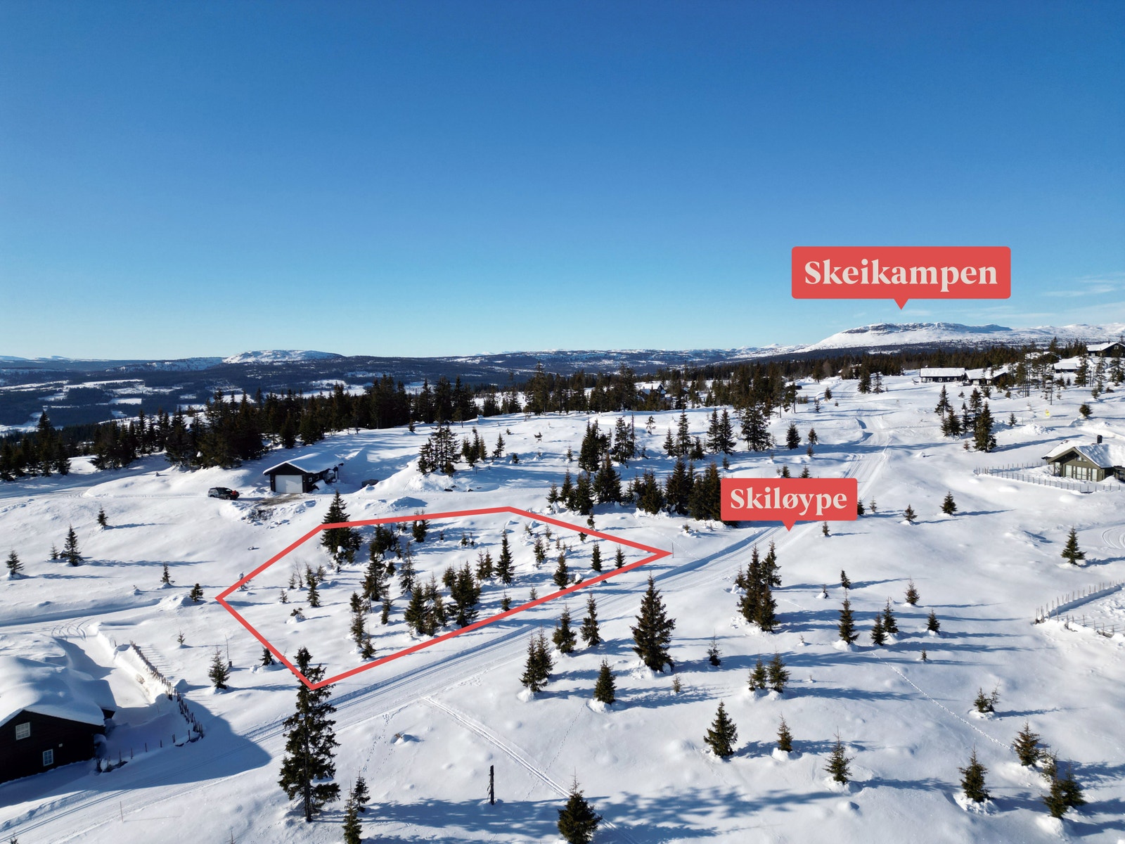 Nord øst over Galleribilde