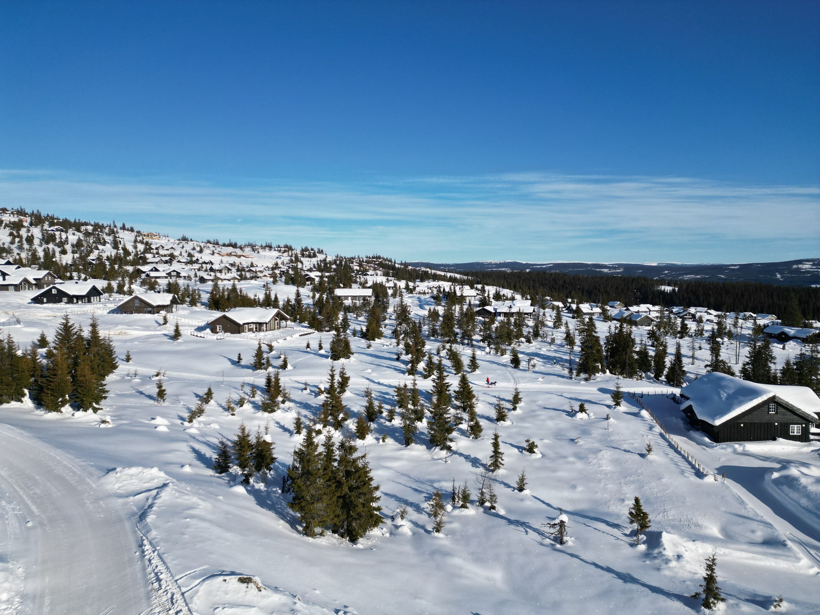 østover Galleribilde