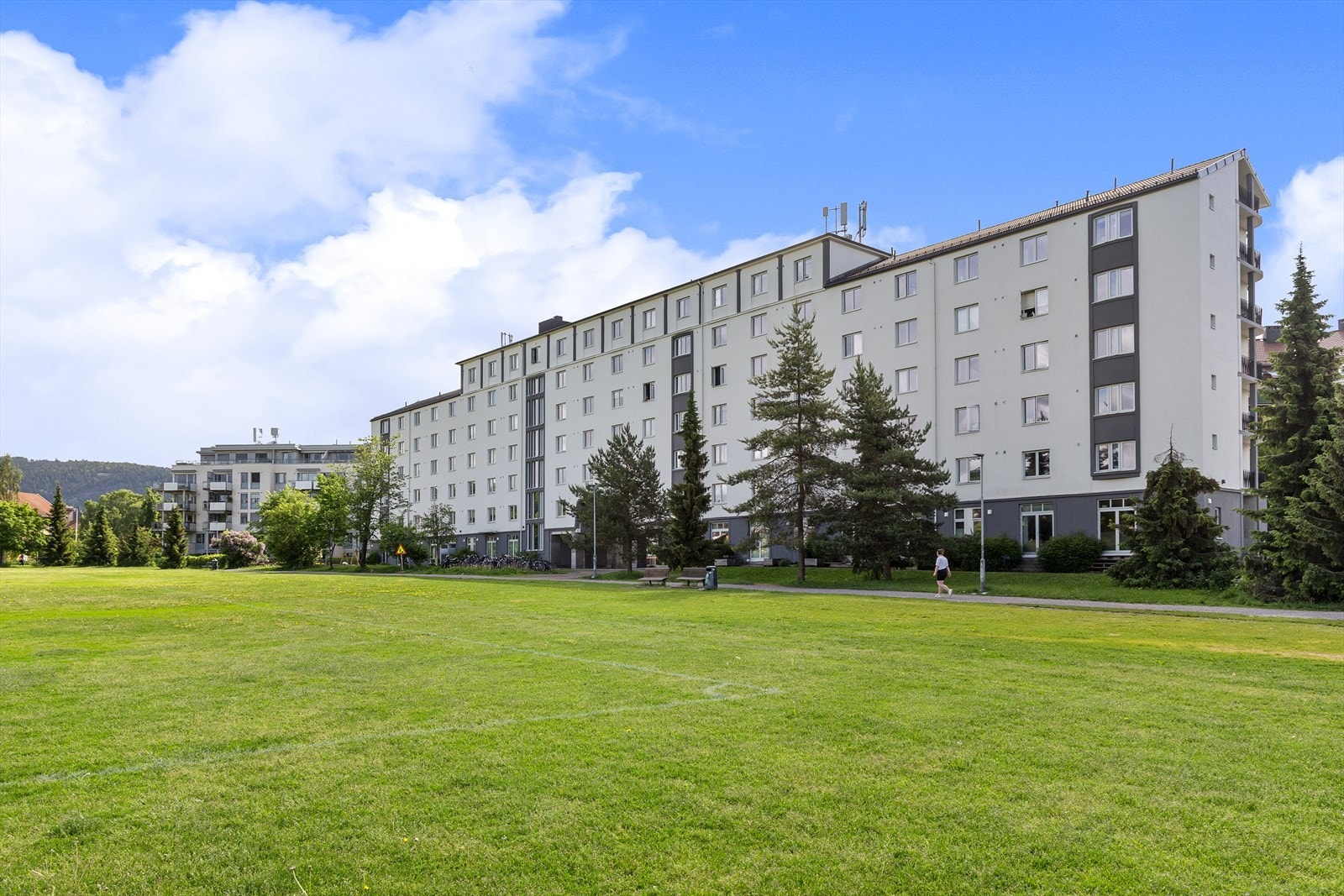 Fasade. Galleribilde