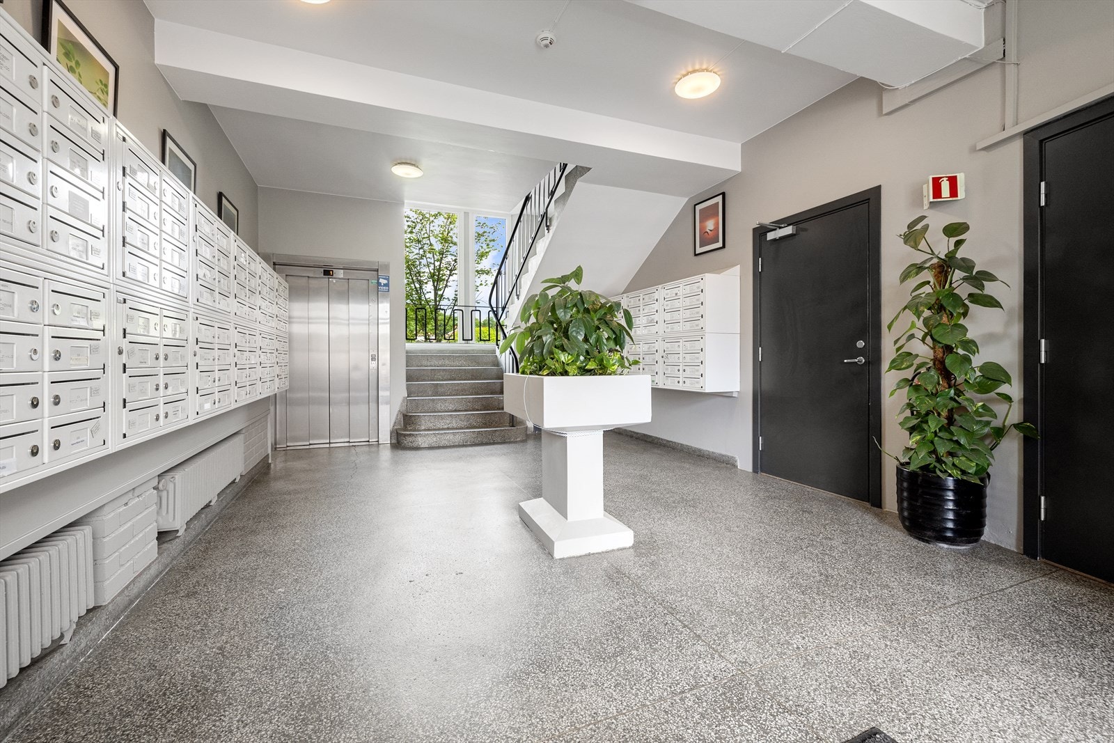 Lyst og pent inngangsparti med postkasser, trapp og heis. Galleribilde