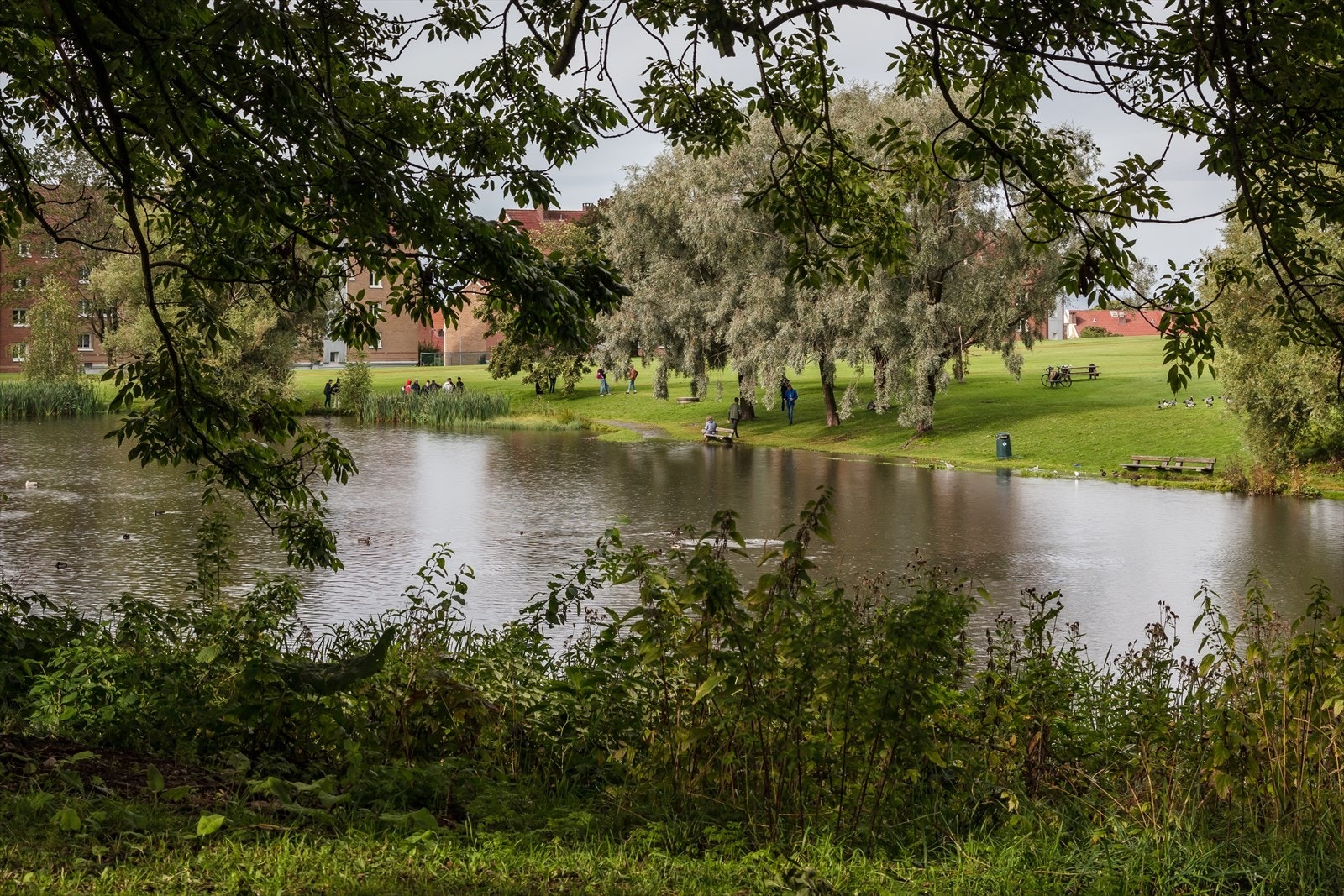 Hovindammen ligger noen få minutters unna. Galleribilde