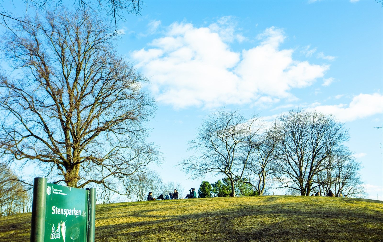 Områdebilde Galleribilde