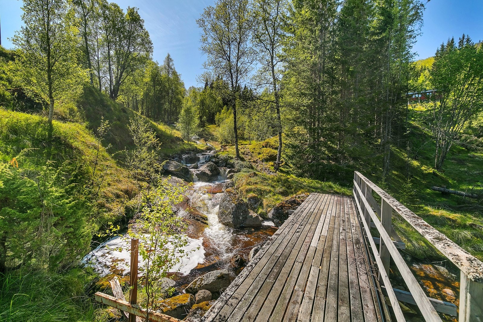 Elv ved eiendommen Galleribilde
