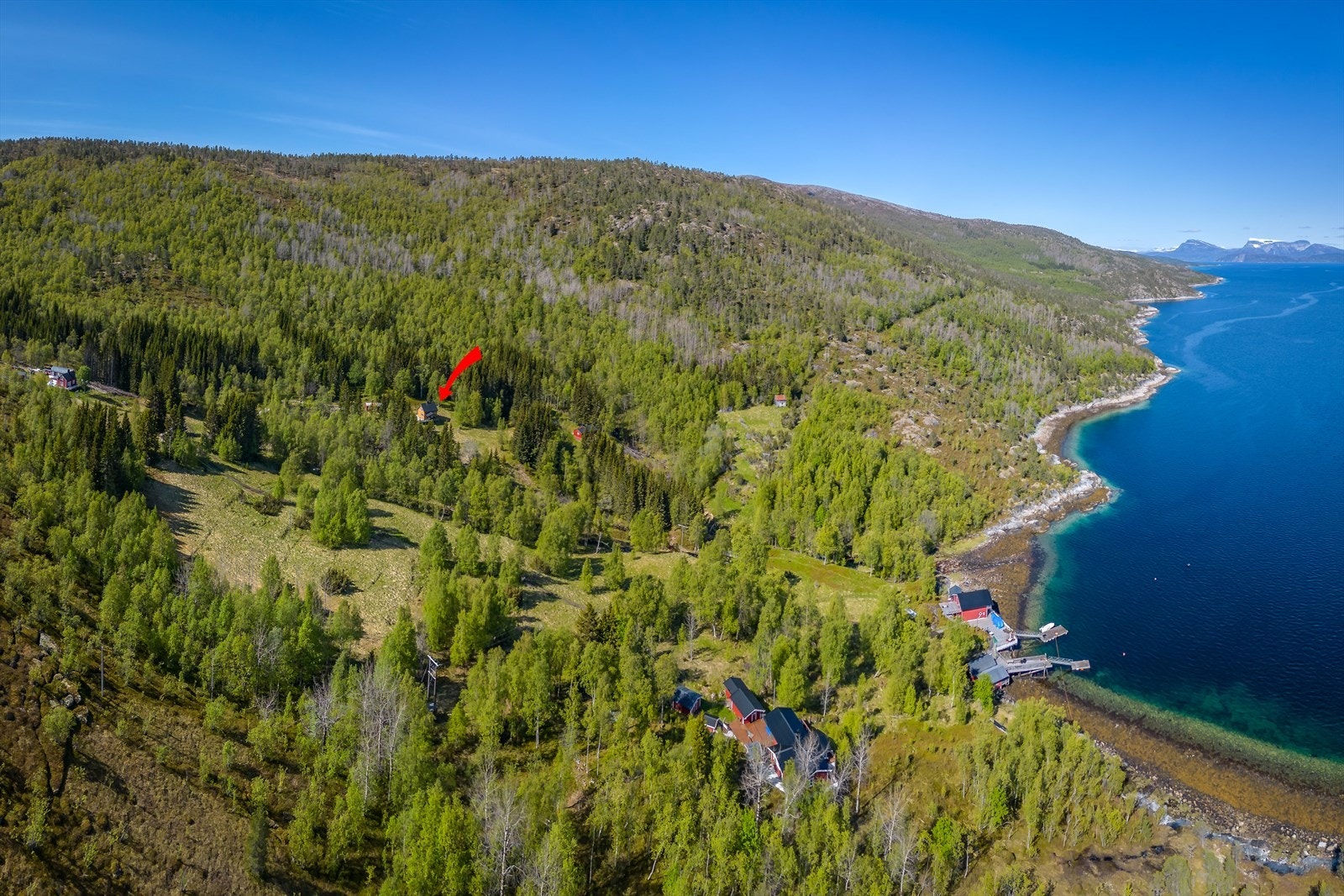 Stor eiendom bestående av noe skog Galleribilde