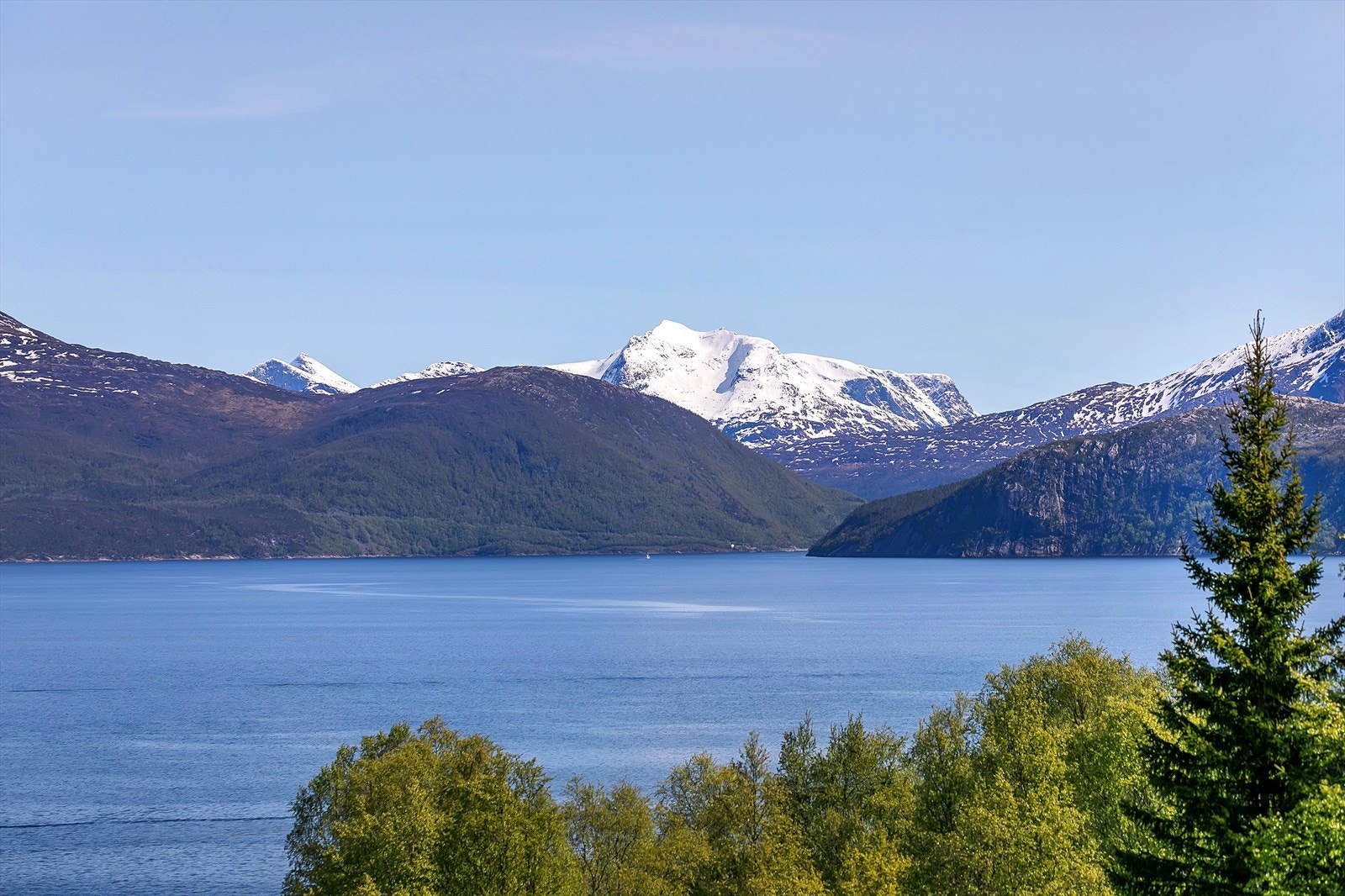 Utsikt mot Hundholmen Galleribilde