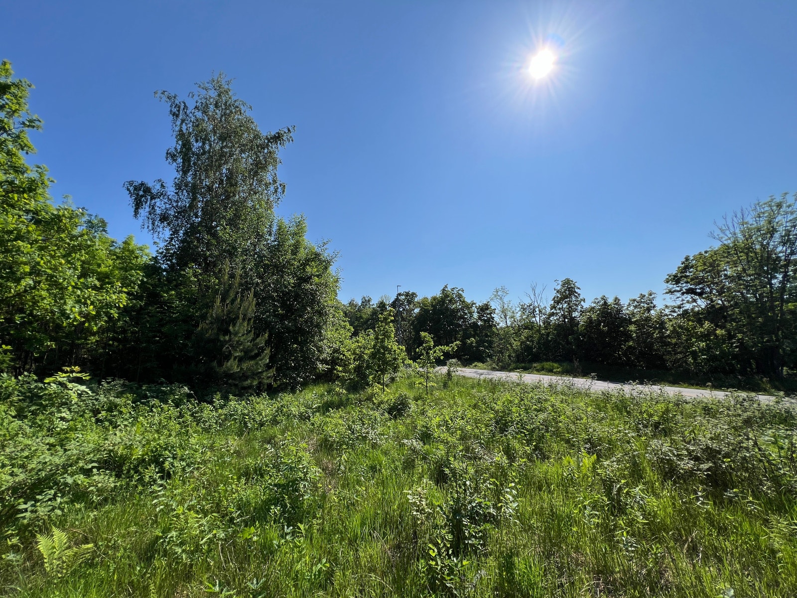 Stor vestvendt og solrik boligtomt Galleribilde