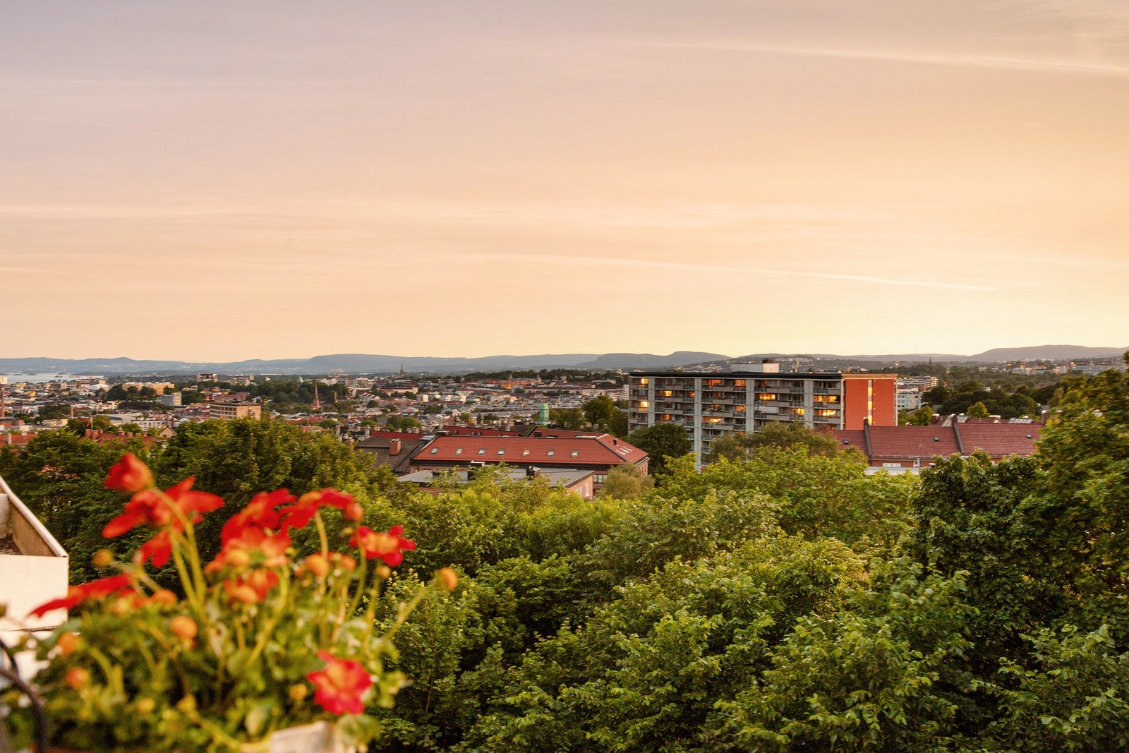 Grønne trær og hustak så langt øyet kan se nedover hovedstaden Galleribilde