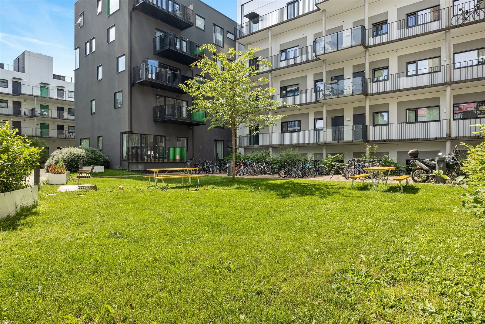 Sameiet oppleves som veldrevet. Sykkelparkering og flere, fine sittesoner. Galleribilde