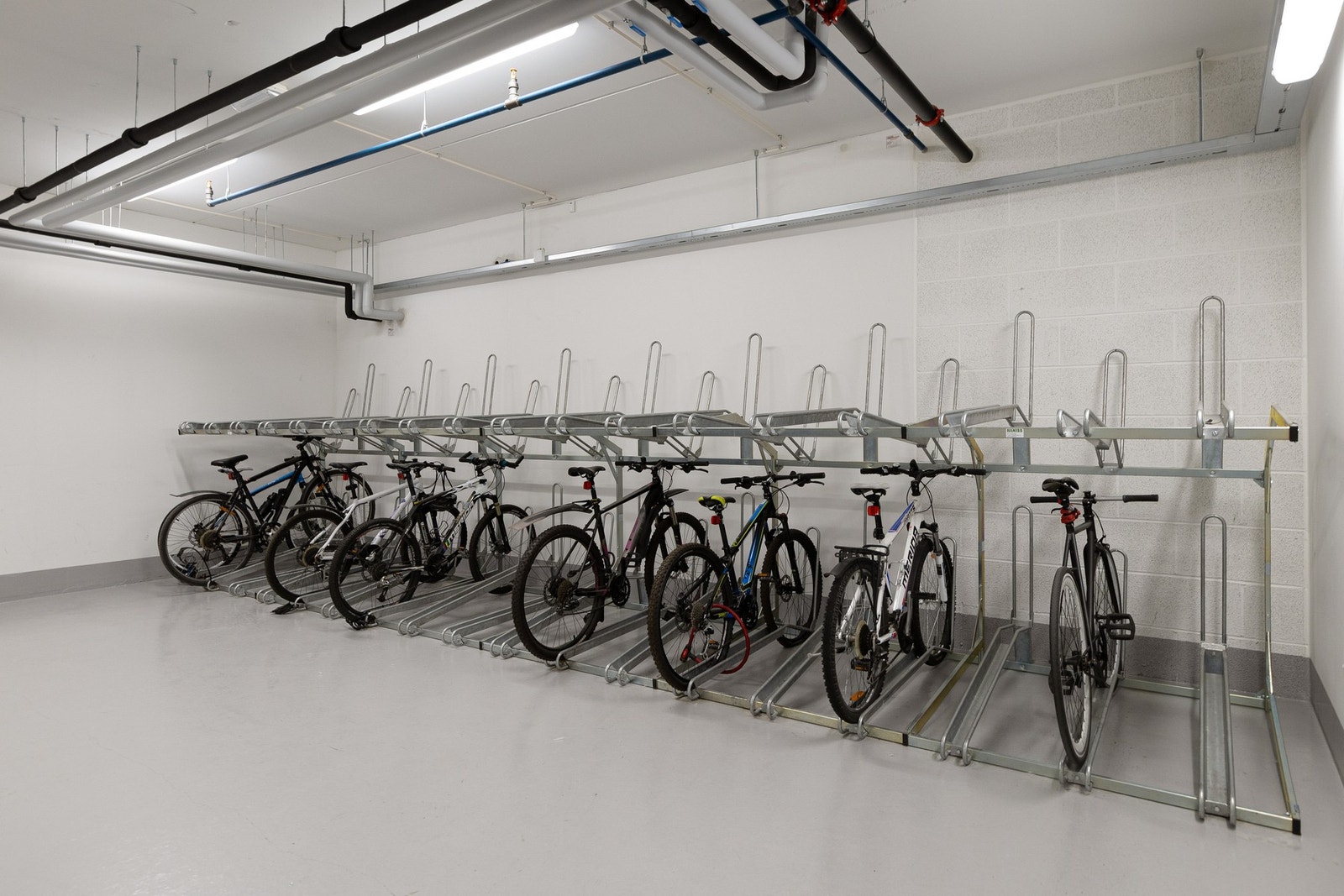 Sykkelparkering i kjeller. Galleribilde