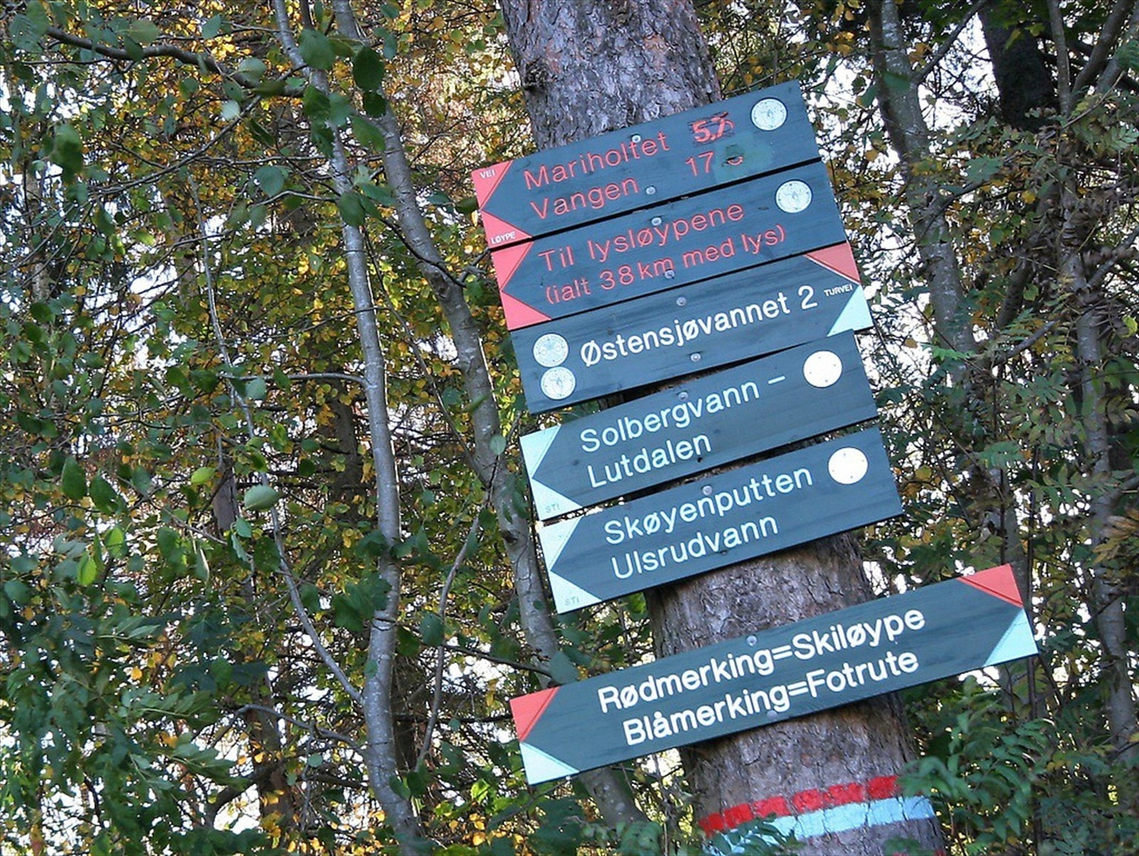 Østmarka Galleribilde