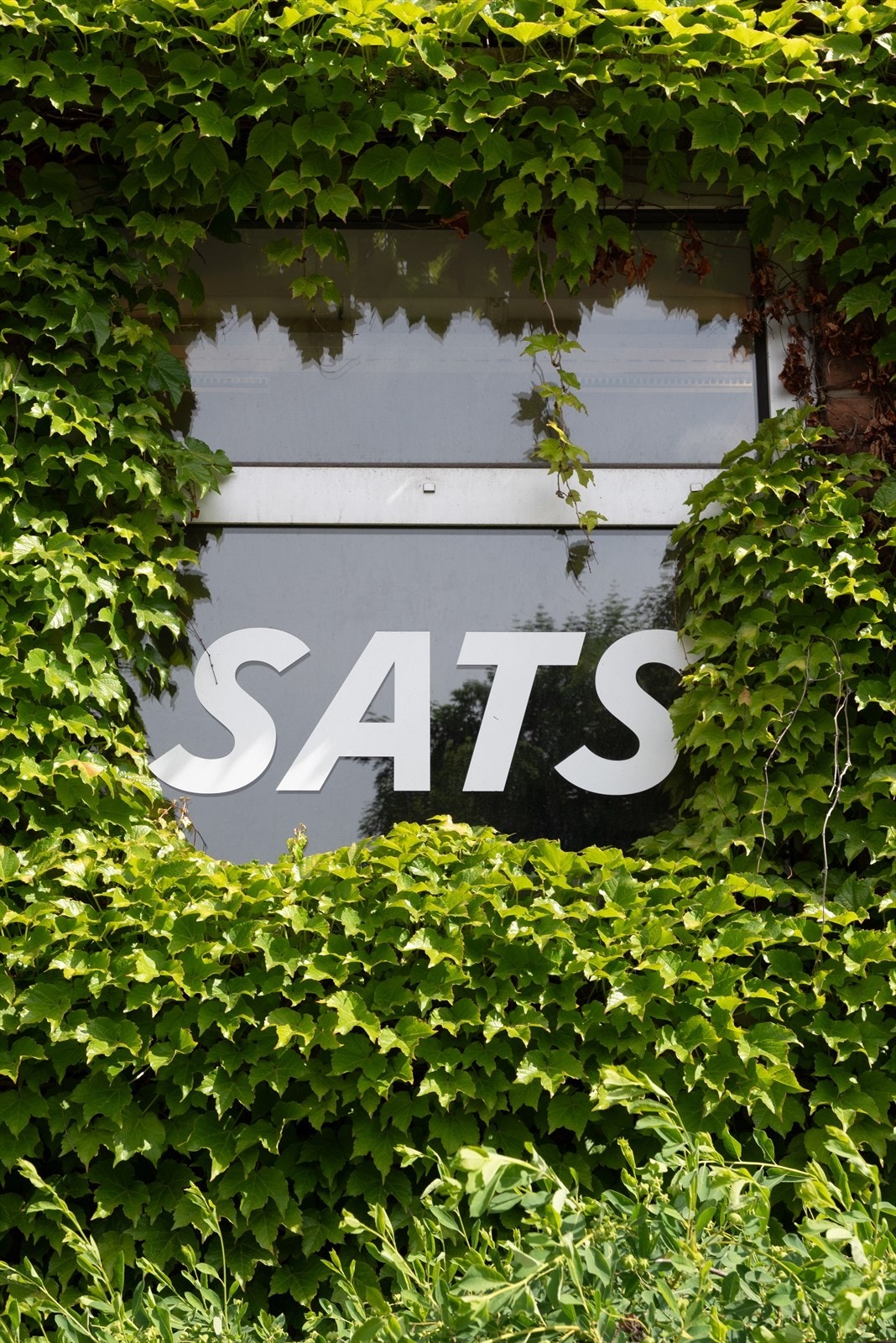 For den treningsglade kan man benytte seg av treningssentrene rett i nærheten. Her finnes både flere SATS og Fresh Fitness innen gangavstand. Det er også flotte turmuligheter! Galleribilde