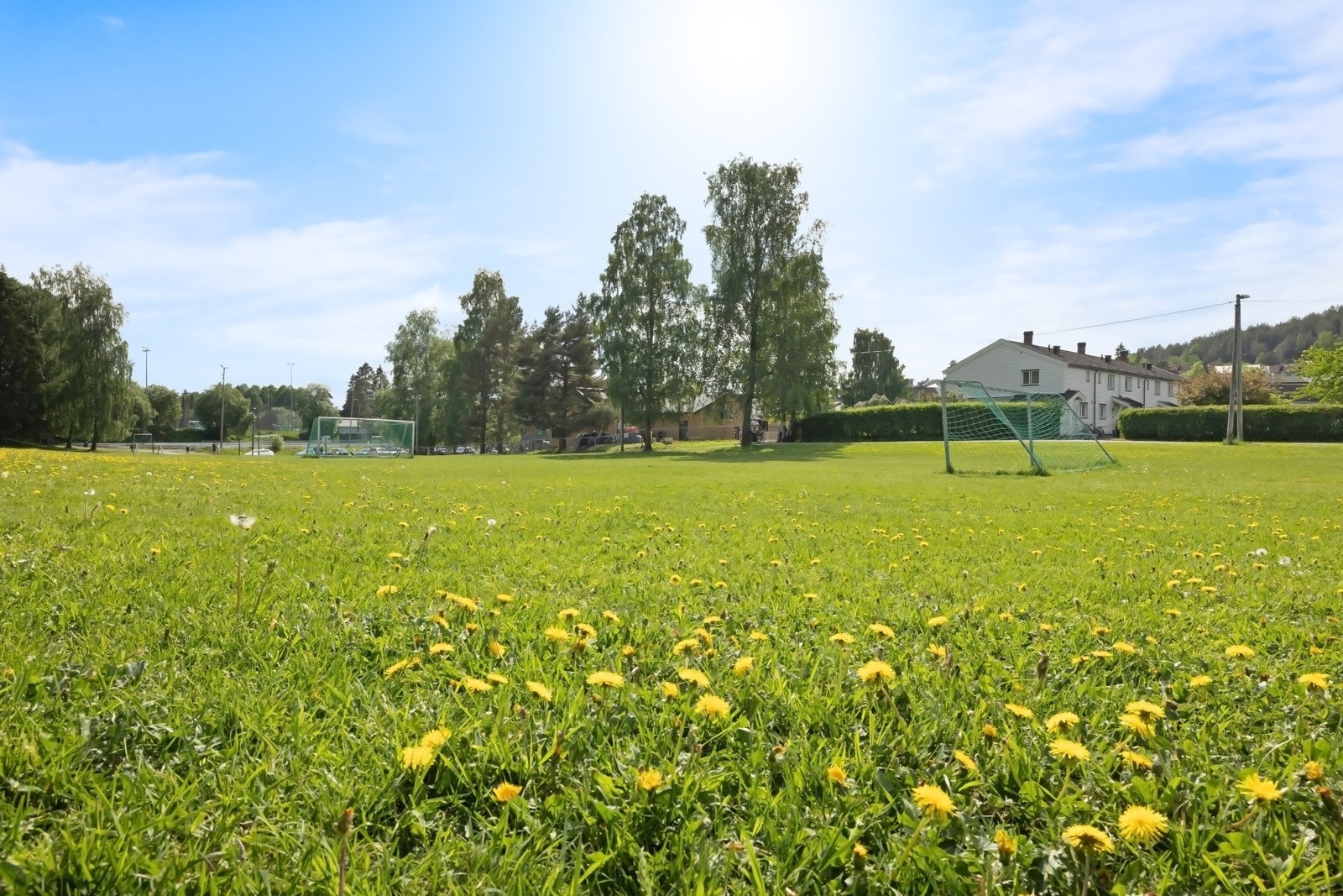Nærområdet Galleribilde