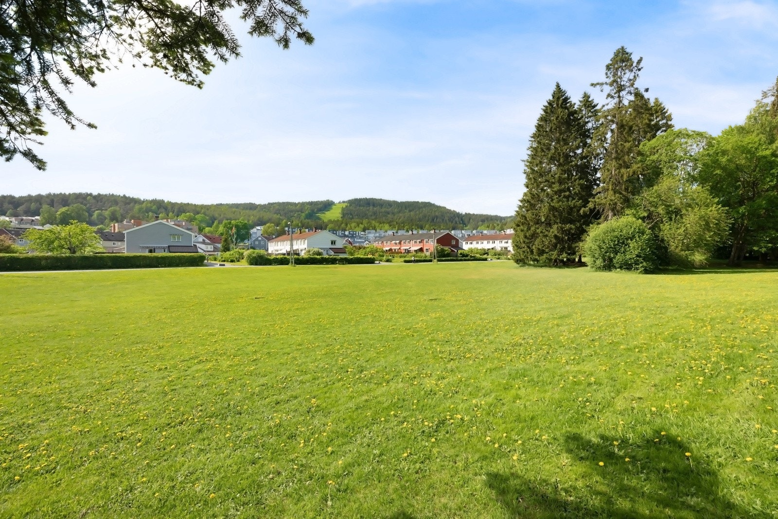 Nærområdet på Sletta Galleribilde