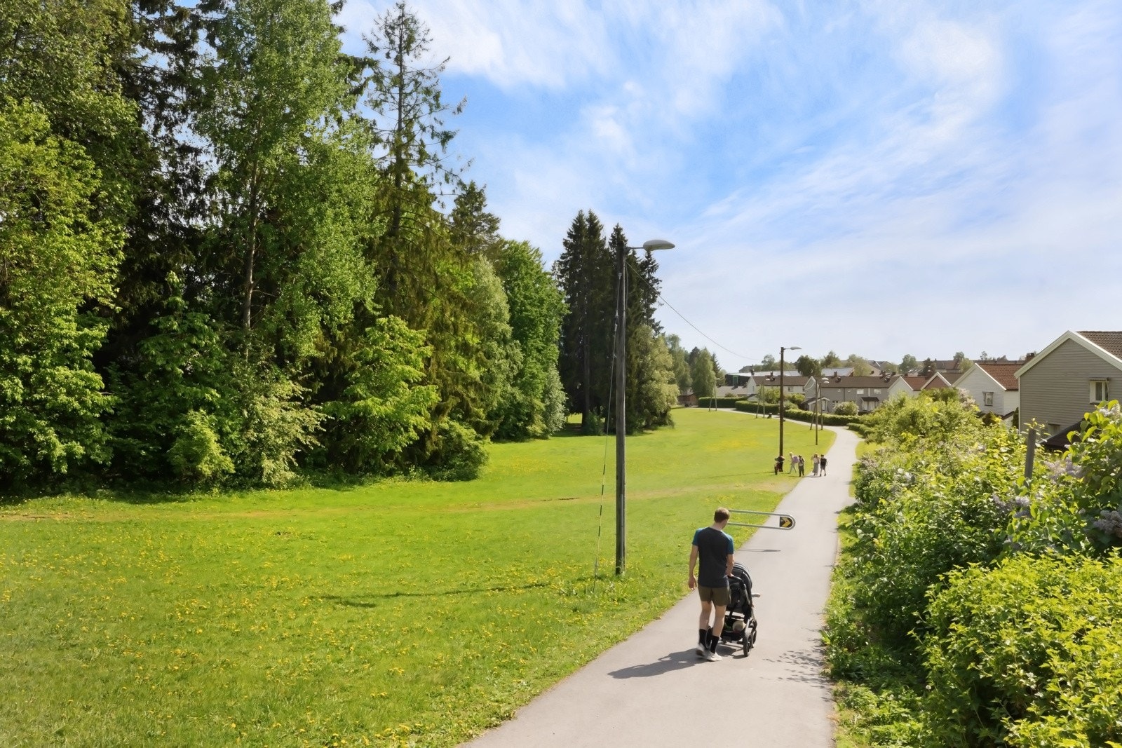 Nærområdet Galleribilde