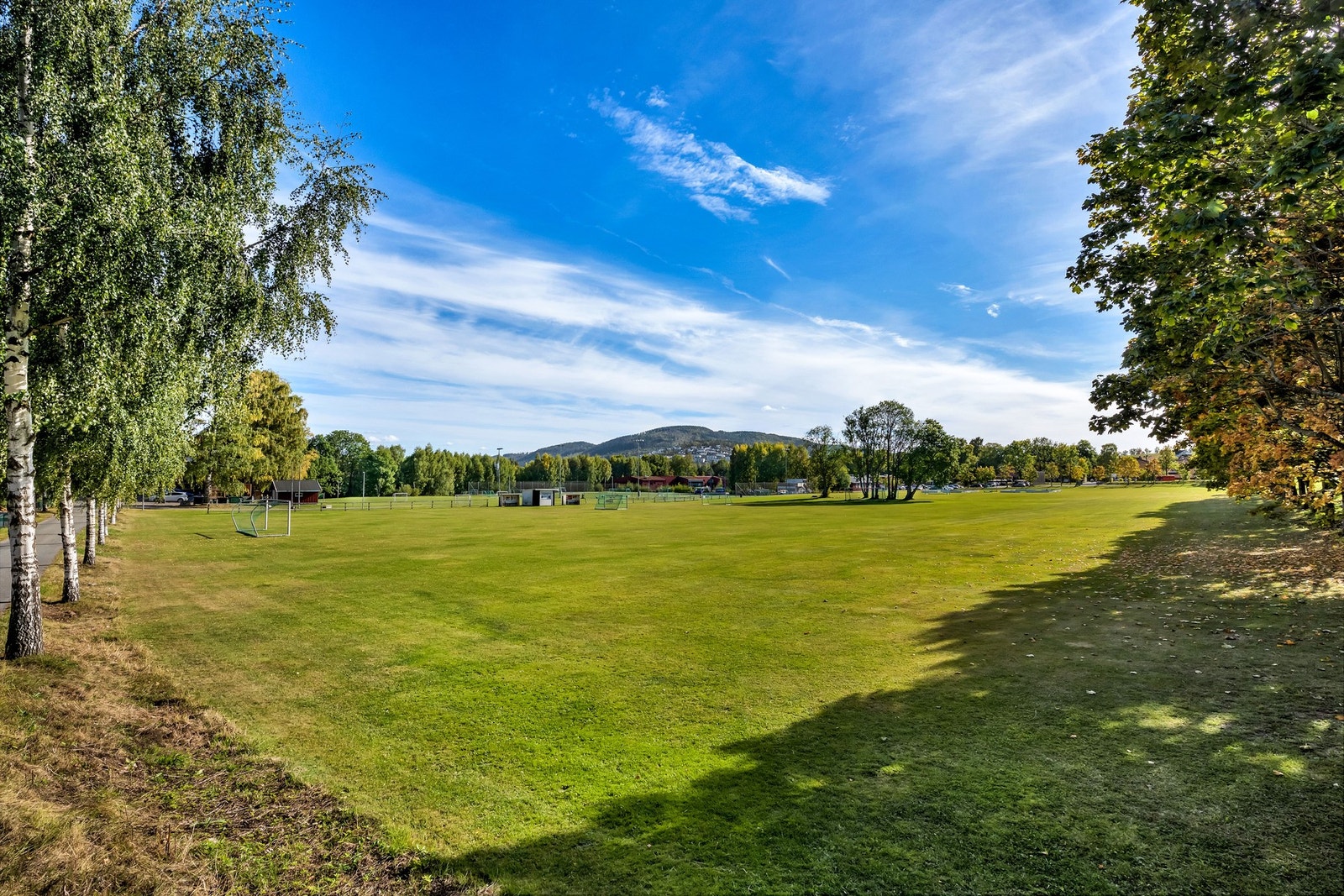 Flotte gressmatter i området. Galleribilde