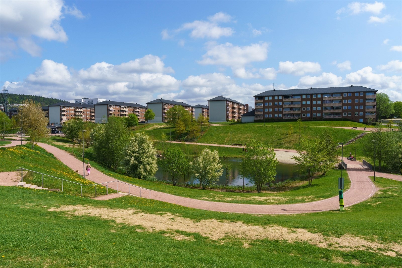 Bjerkedalsdammen Galleribilde