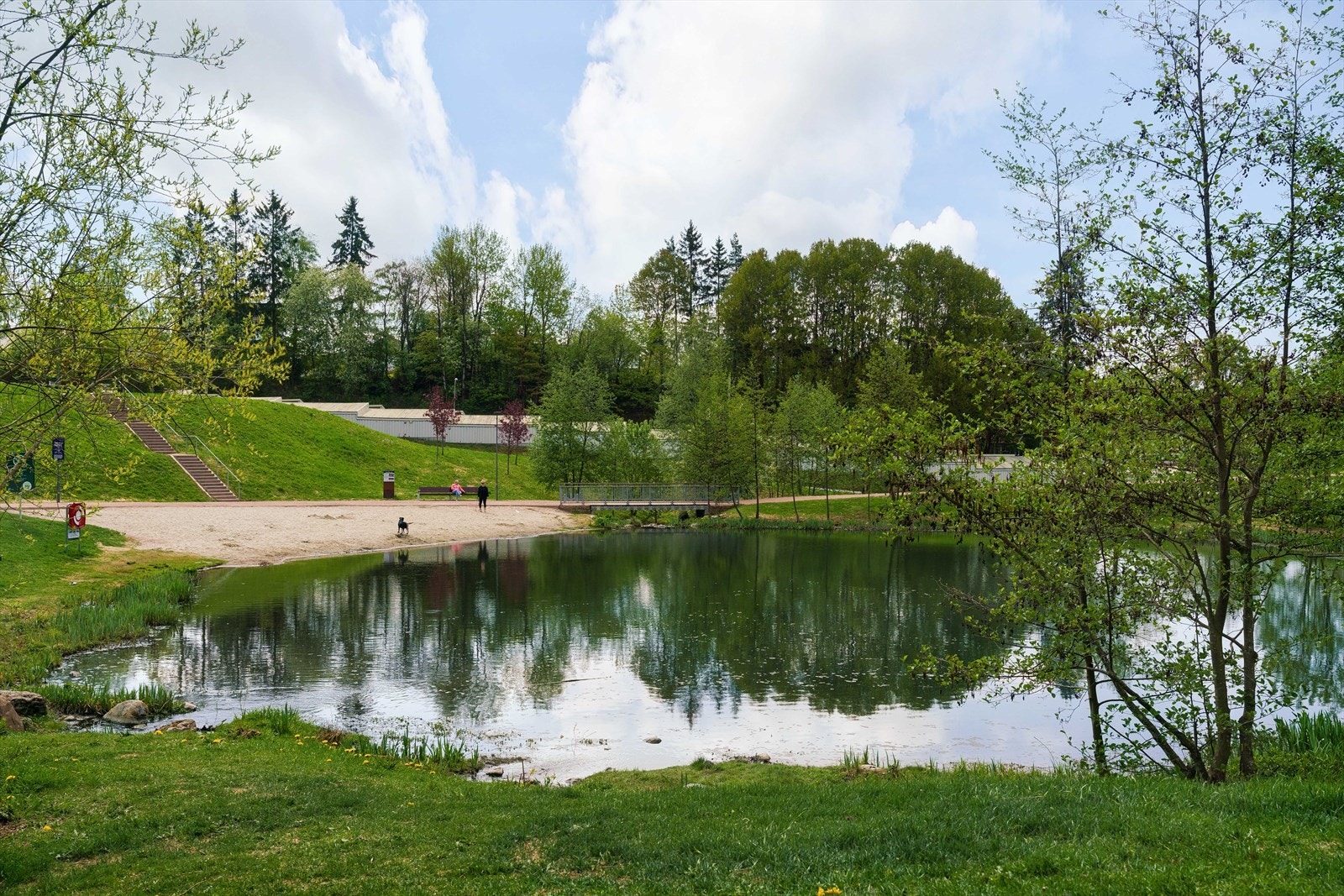 Bjerkedalsdammen Galleribilde